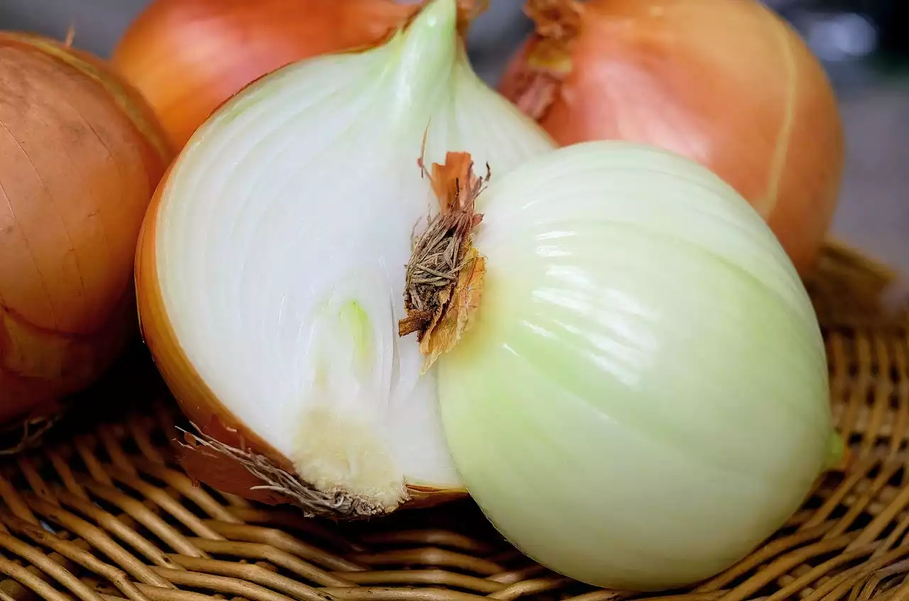Onions image 1