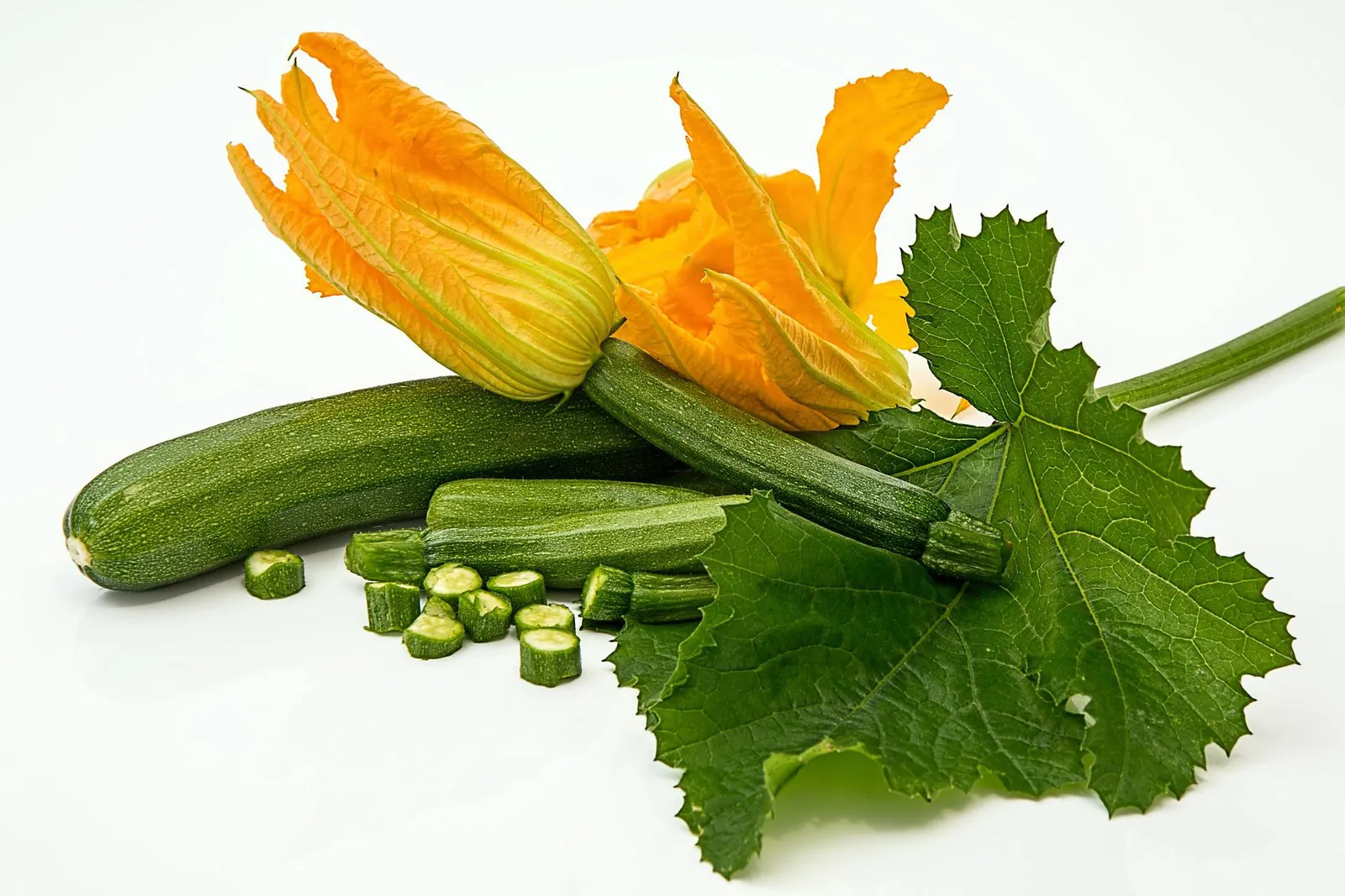 Squash image 6