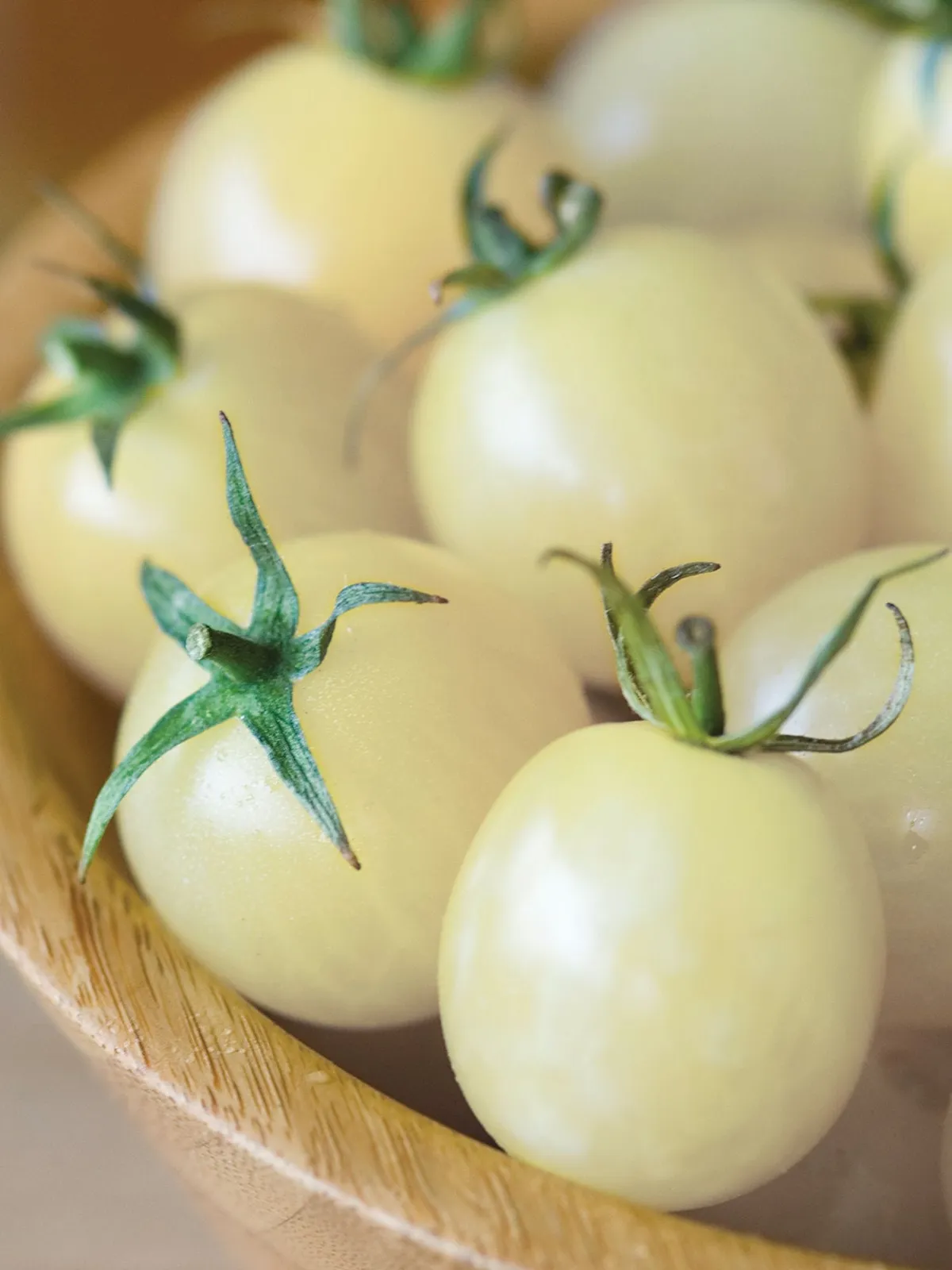Italian Ice Hybrid Tomatoes