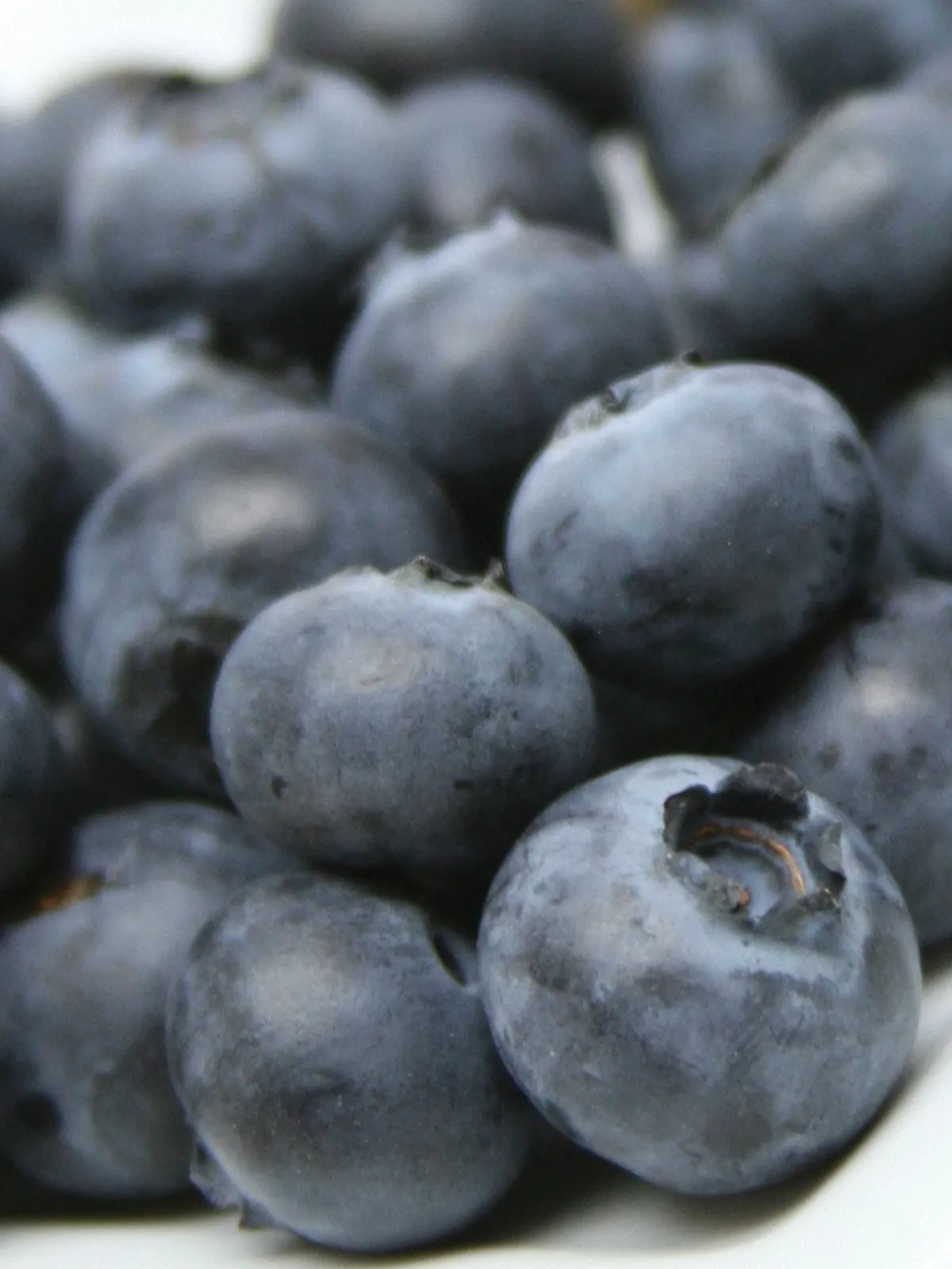 Reka Blueberries