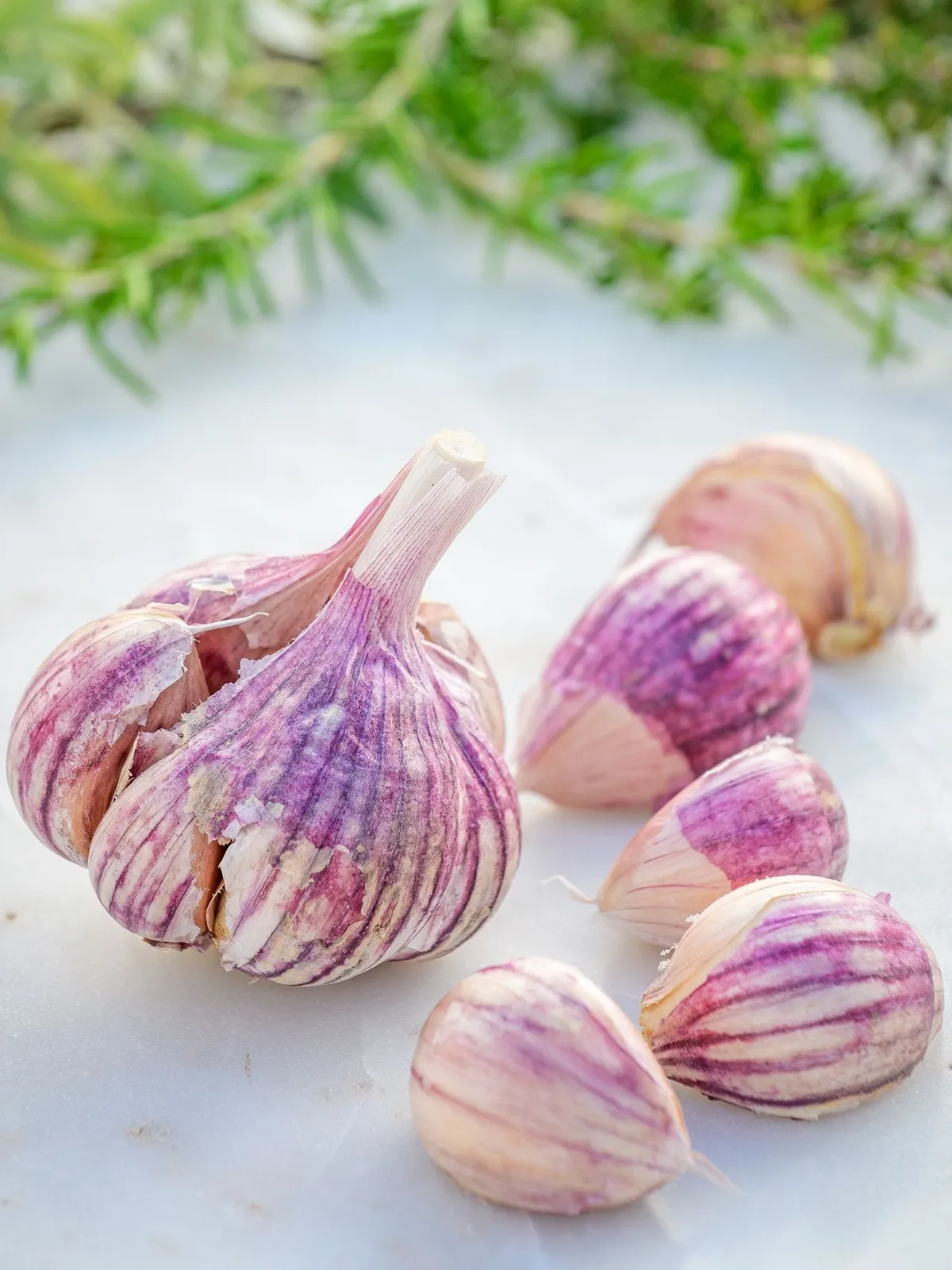 Thai Fire Garlic