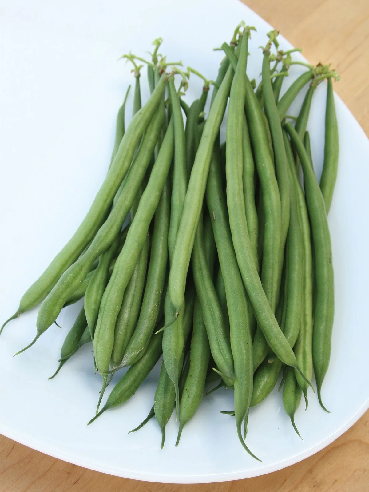 Bush,  French Filet Stringless