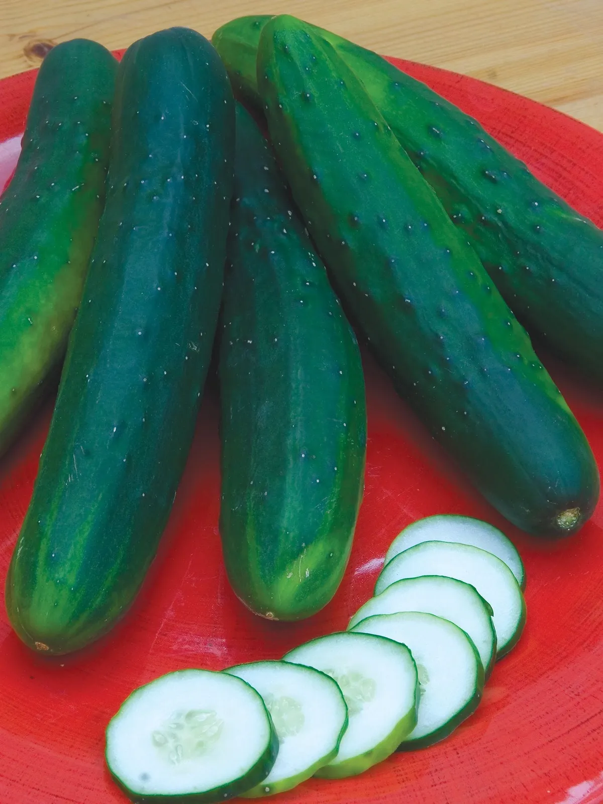Garden Sweet Burpless Hybrid Cucumbers