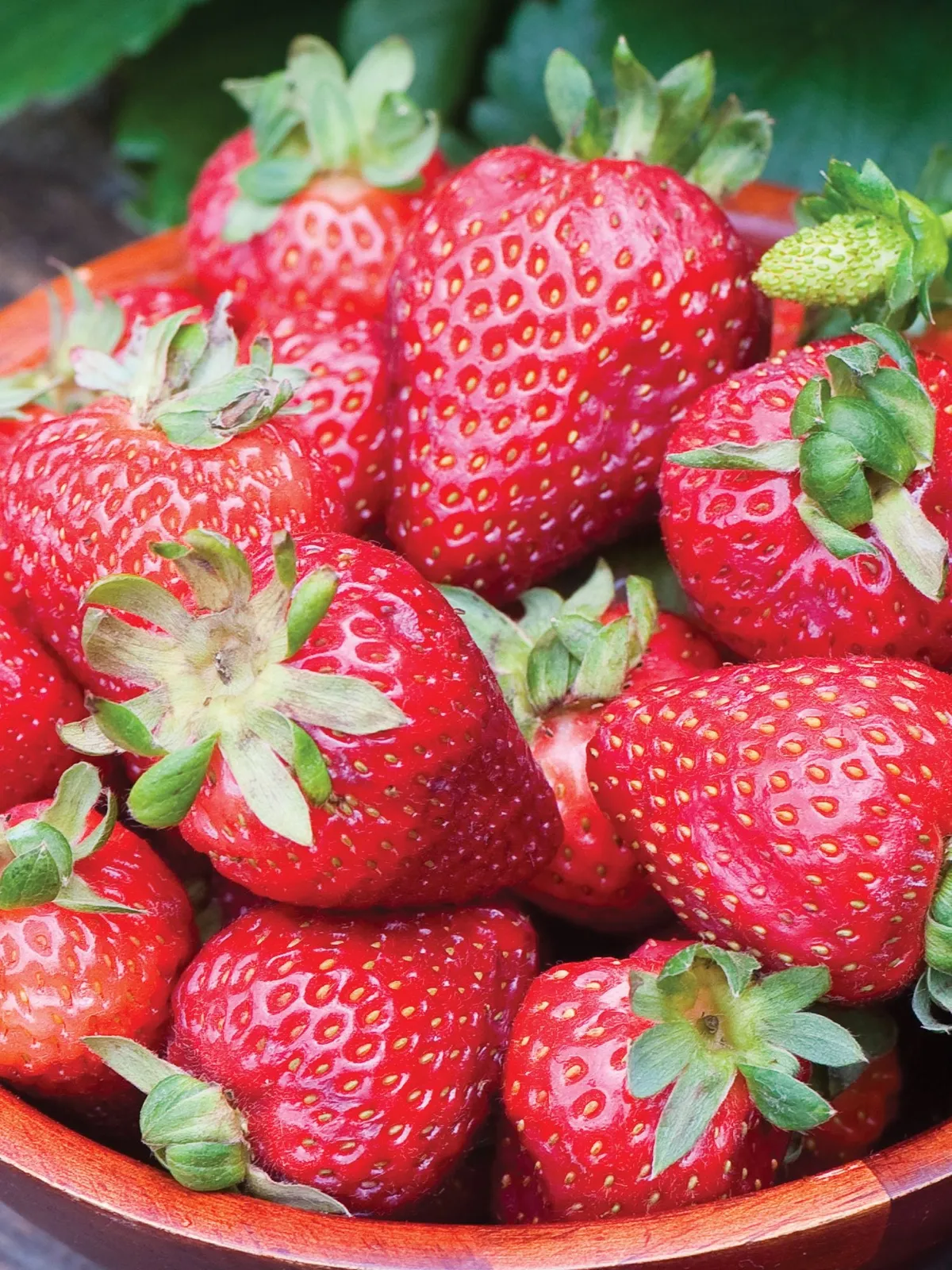 Seascape Strawberries