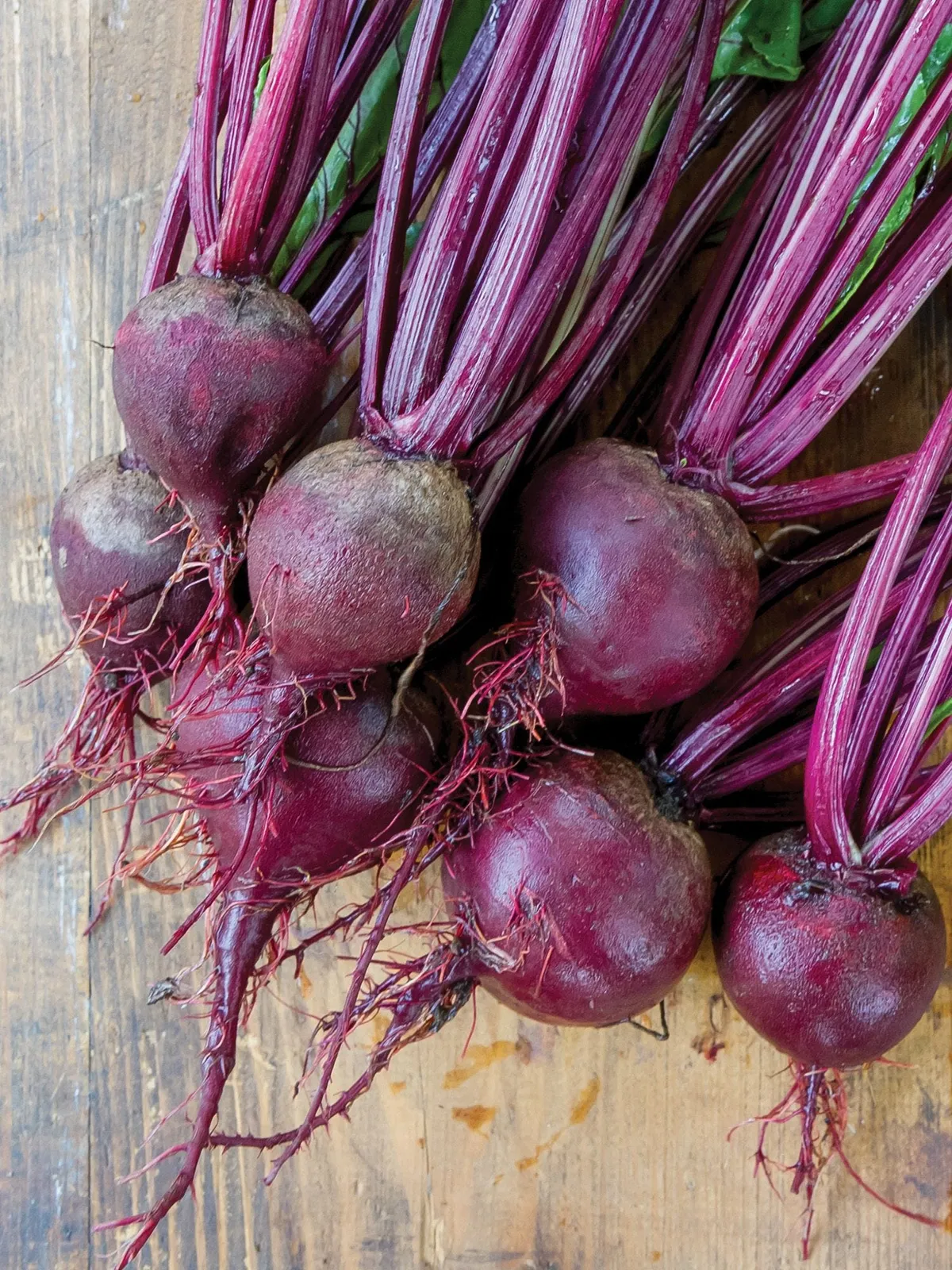 Moulin Rouge Beets