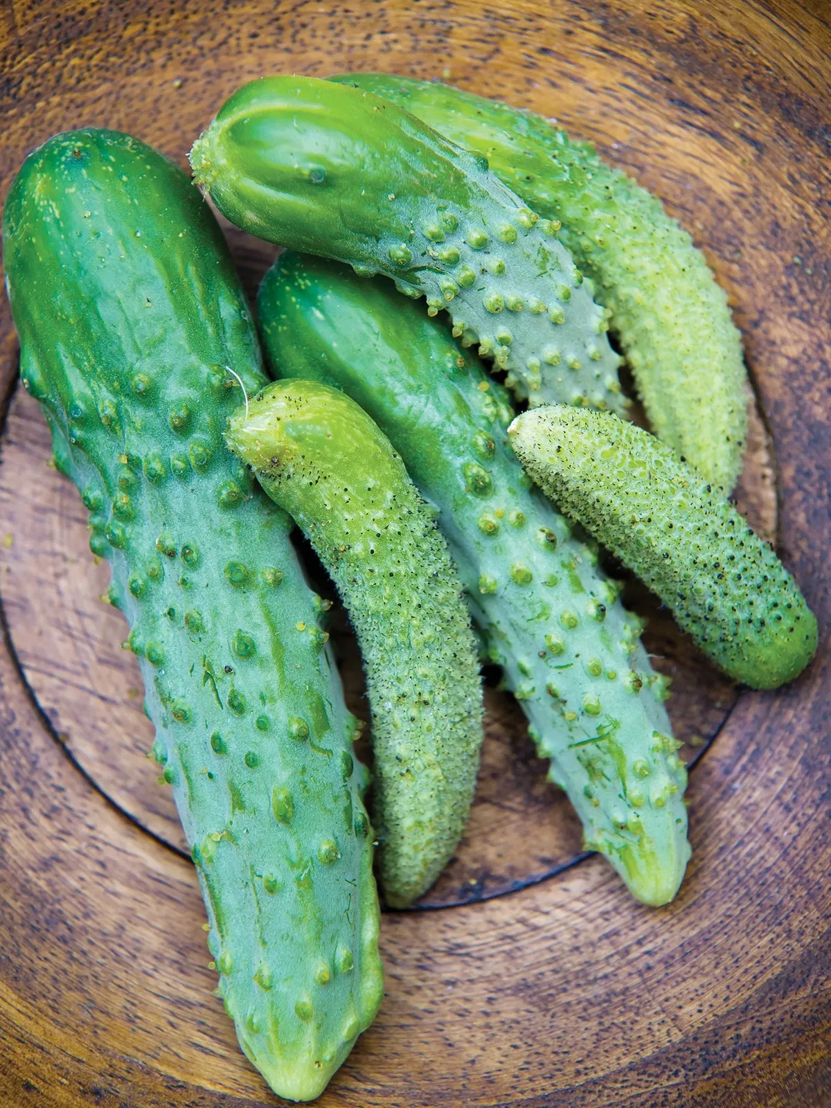 Parisian Cucumbers