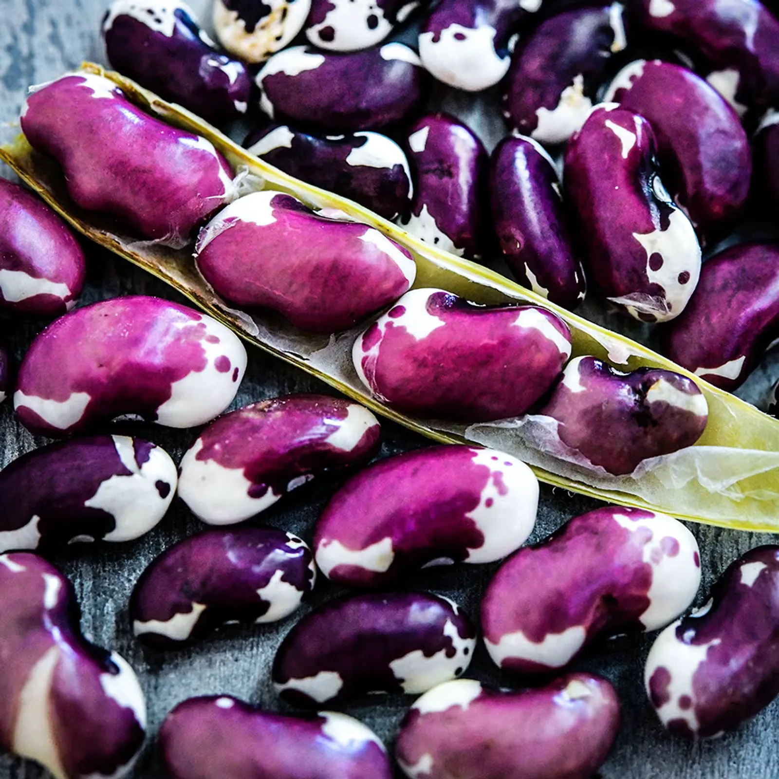 1500 Year Old Cave Beans