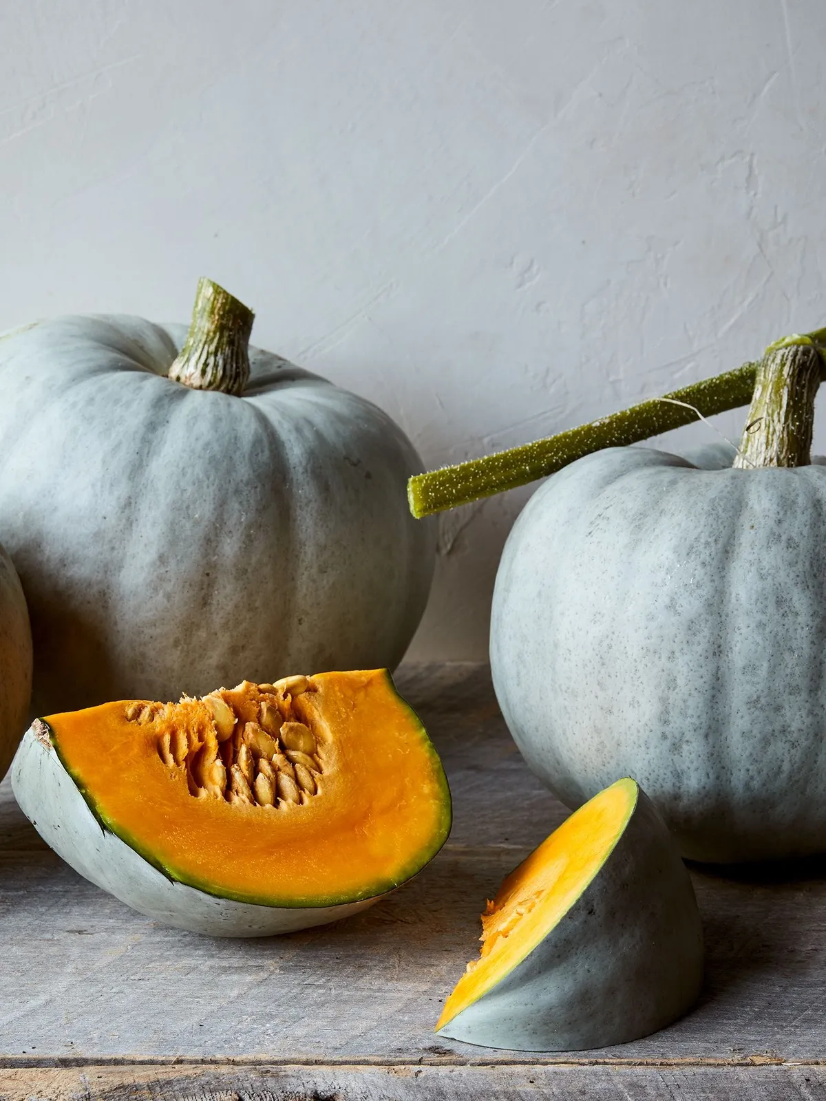 Winter, Harvest Moon Squash