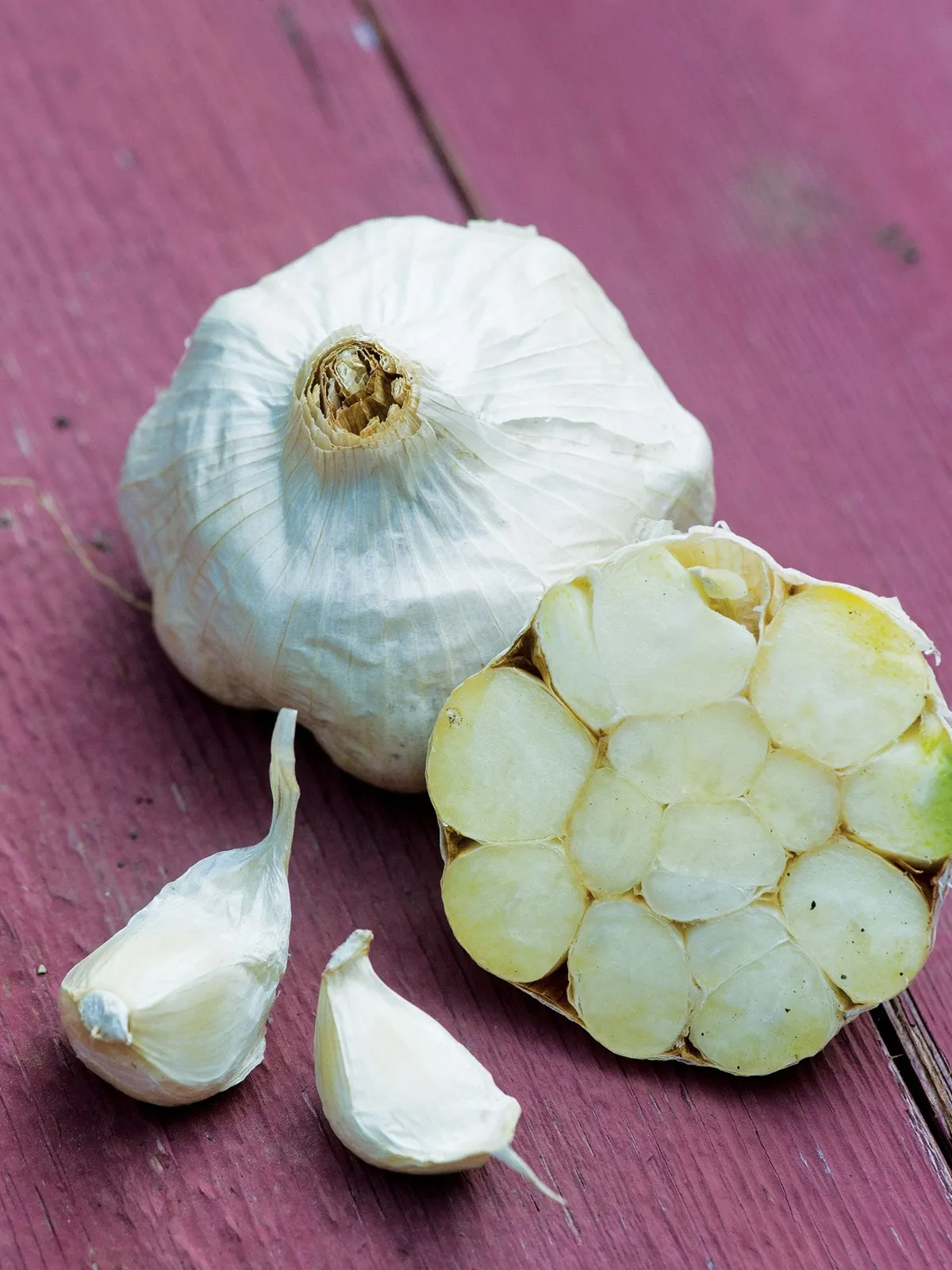 Italian Loiacono Garlic