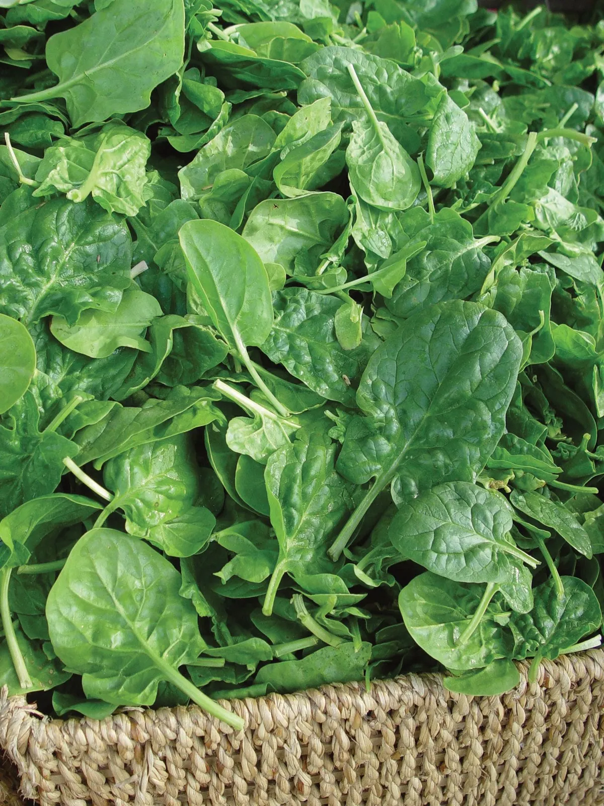 Double Choice Hybrid