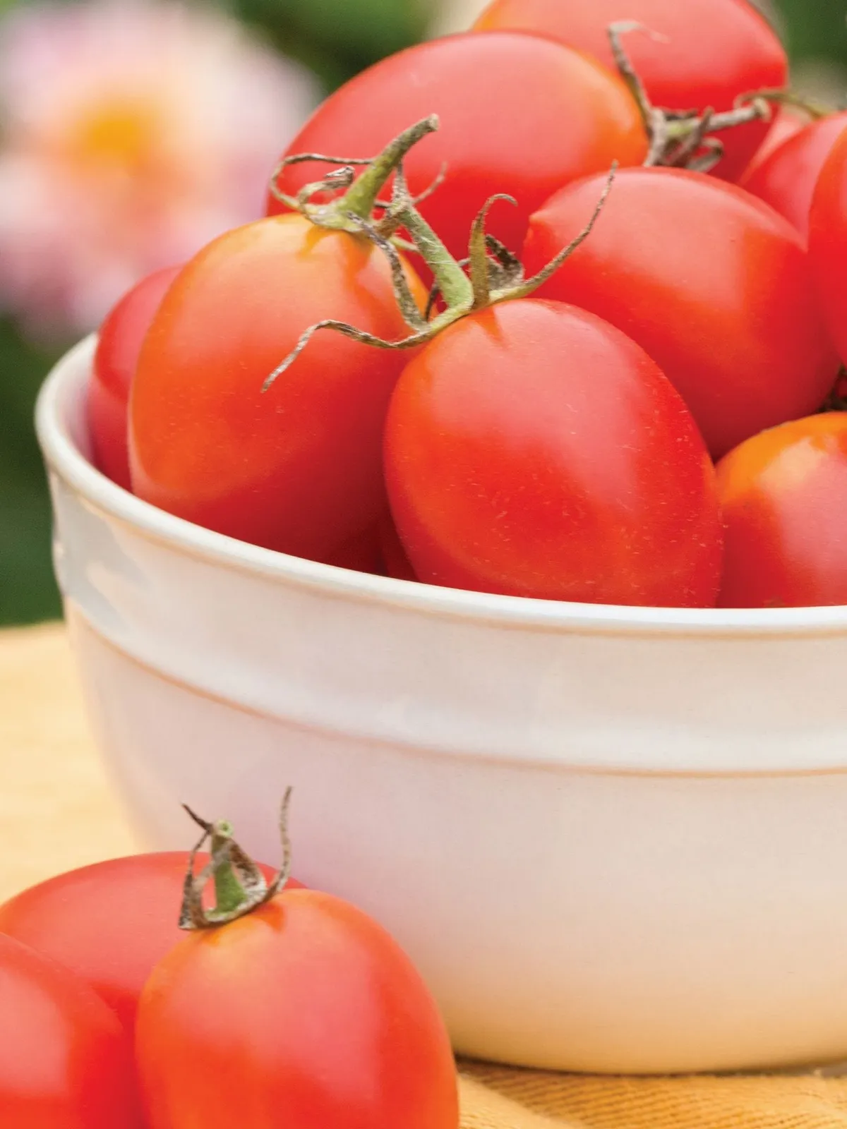 Juliet Hybrid Tomatoes