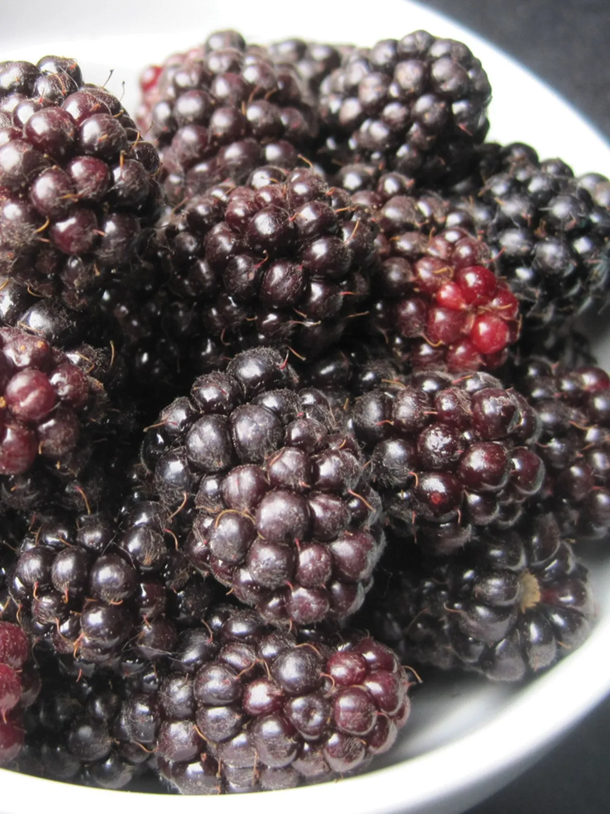 Ouachita Blackberries