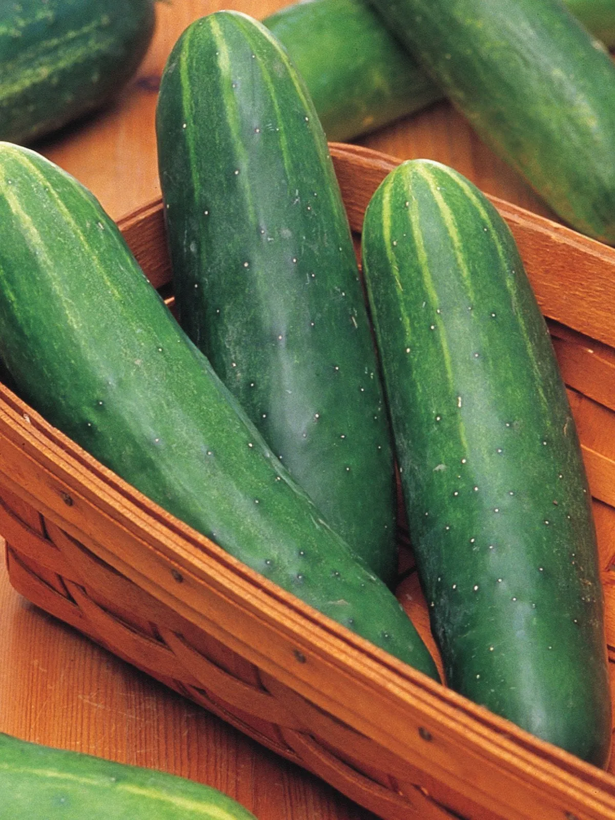 Double Yield Organic Cucumbers