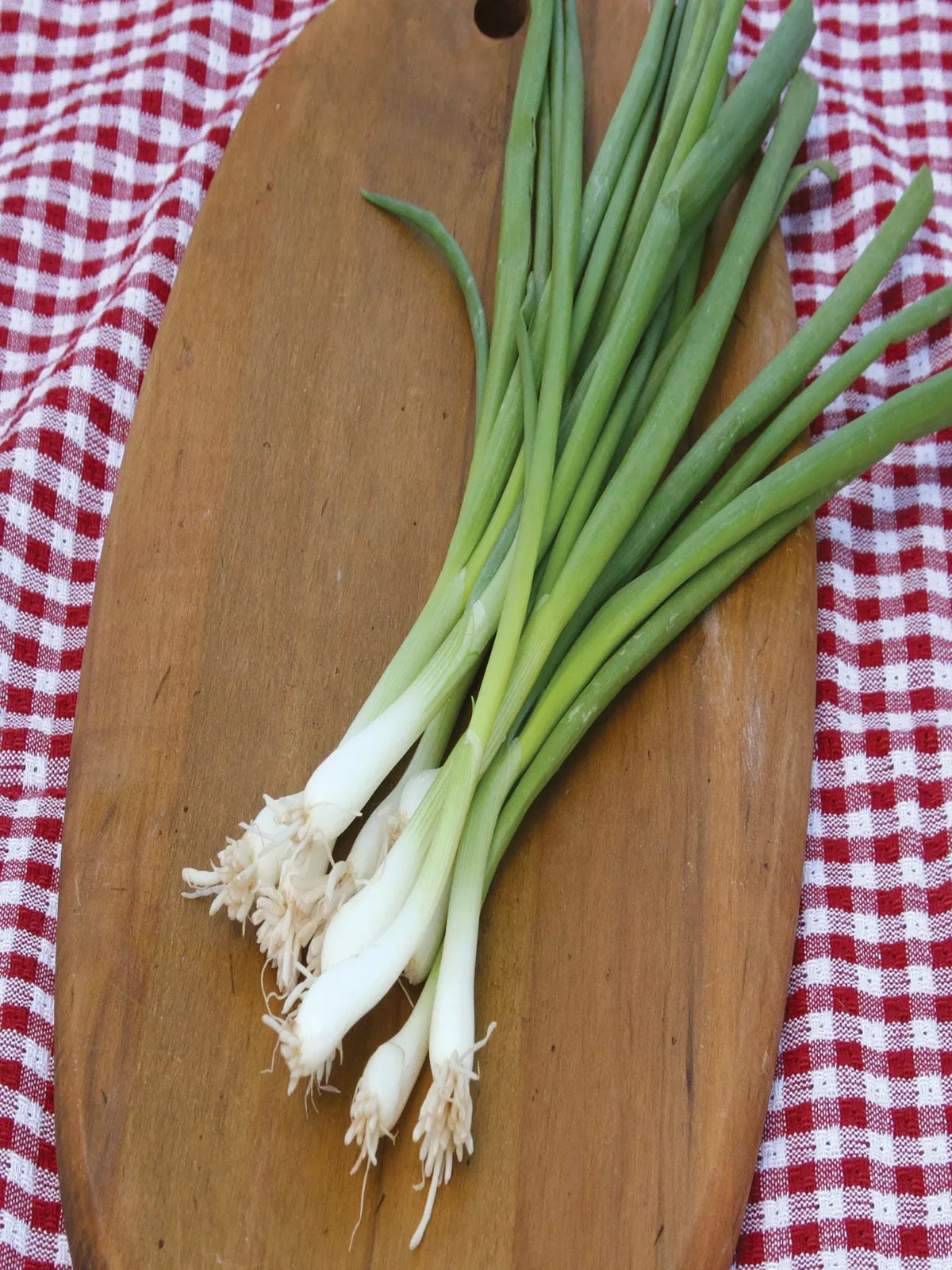 Tokyo Long White Onions