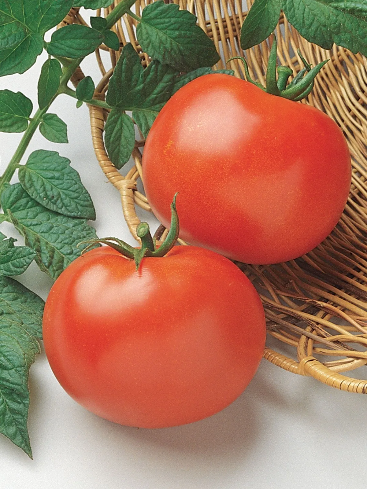 Rutgers Tomatoes