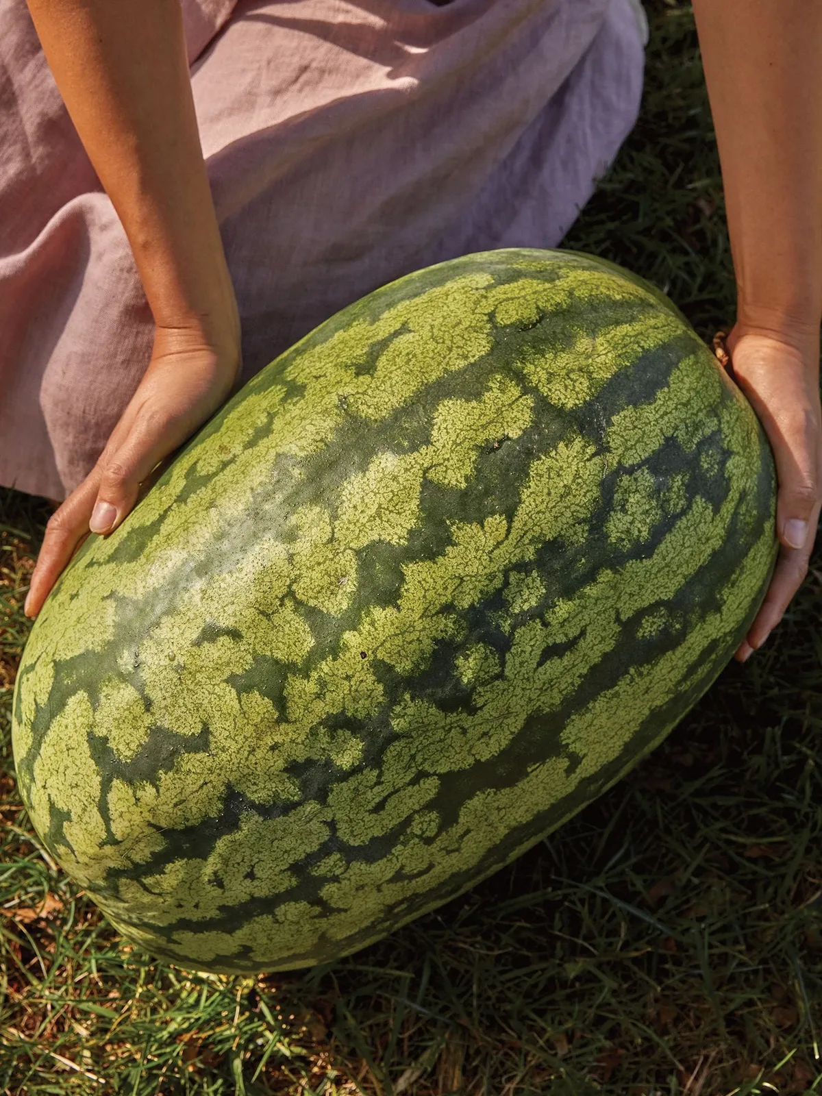 Carolina Cross  #183