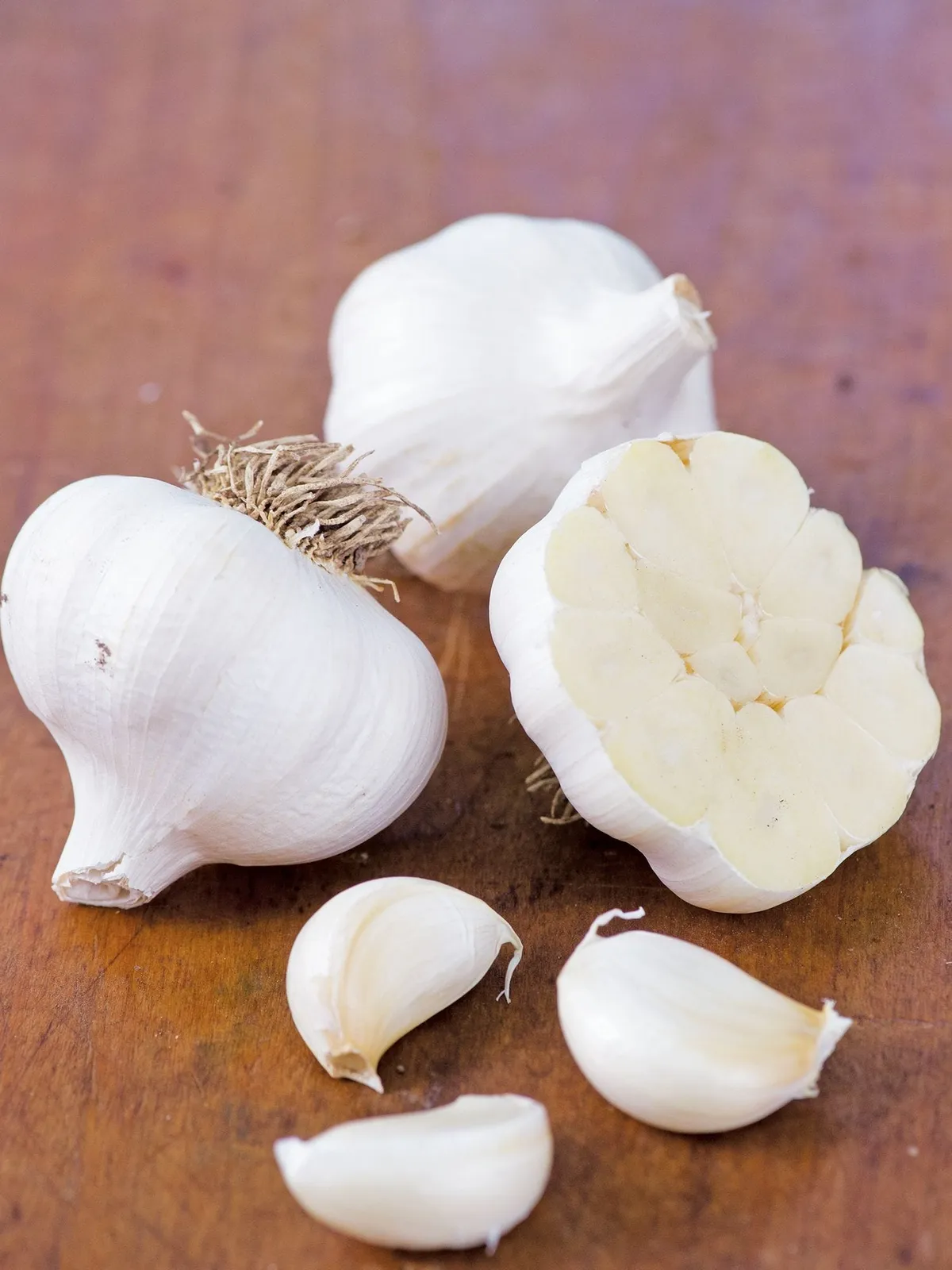 Shilla Garlic