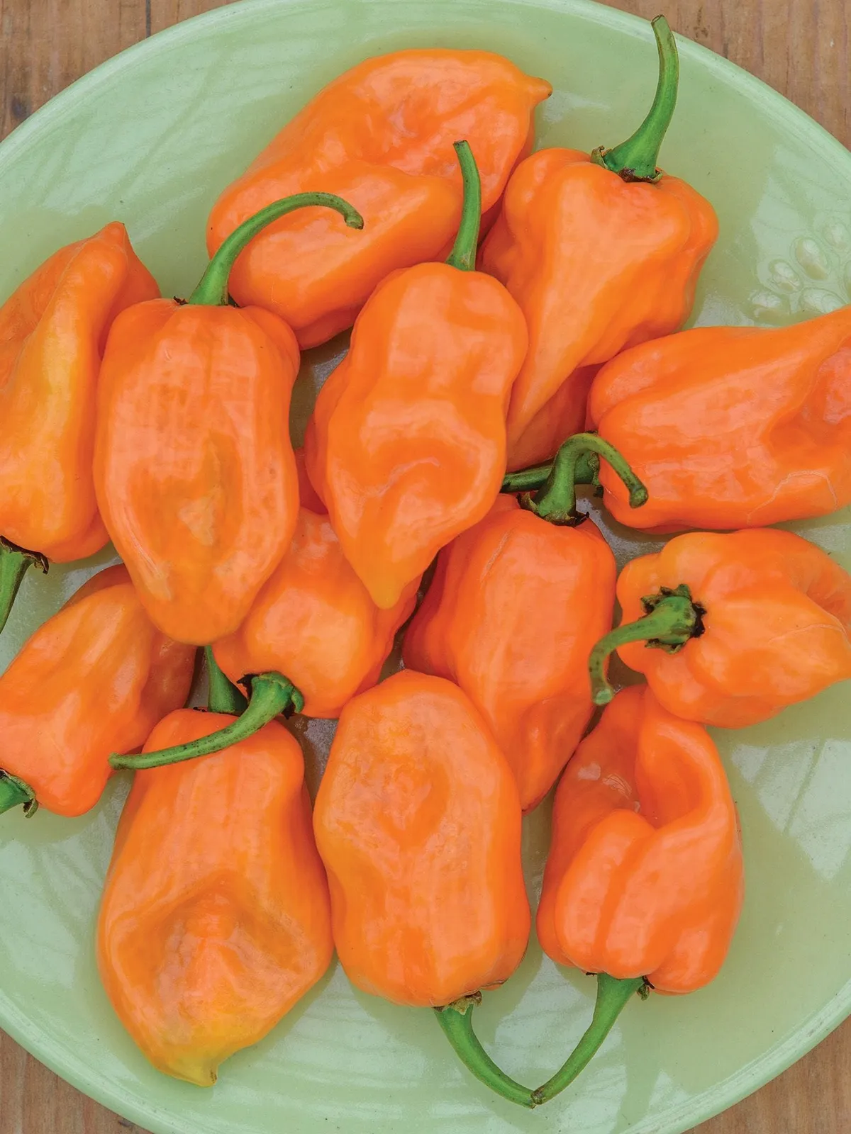 Hot, Habanero Peppers
