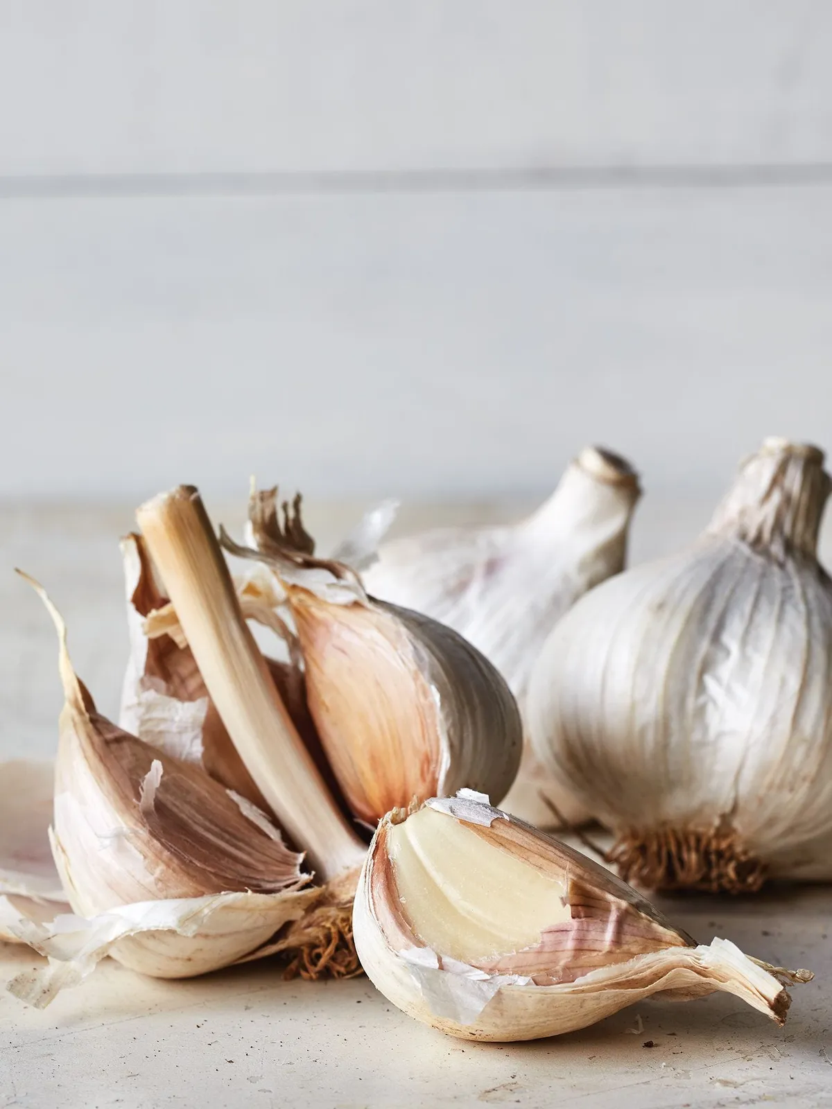 Music Garlic