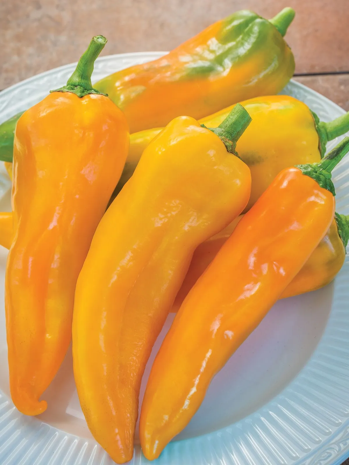 Sweet, Mama Mia Giallo Hybrid Peppers