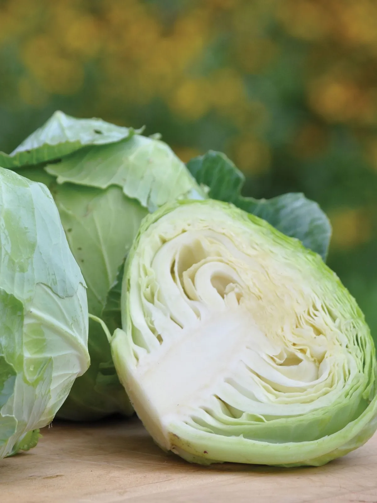 Charleston Wakefield