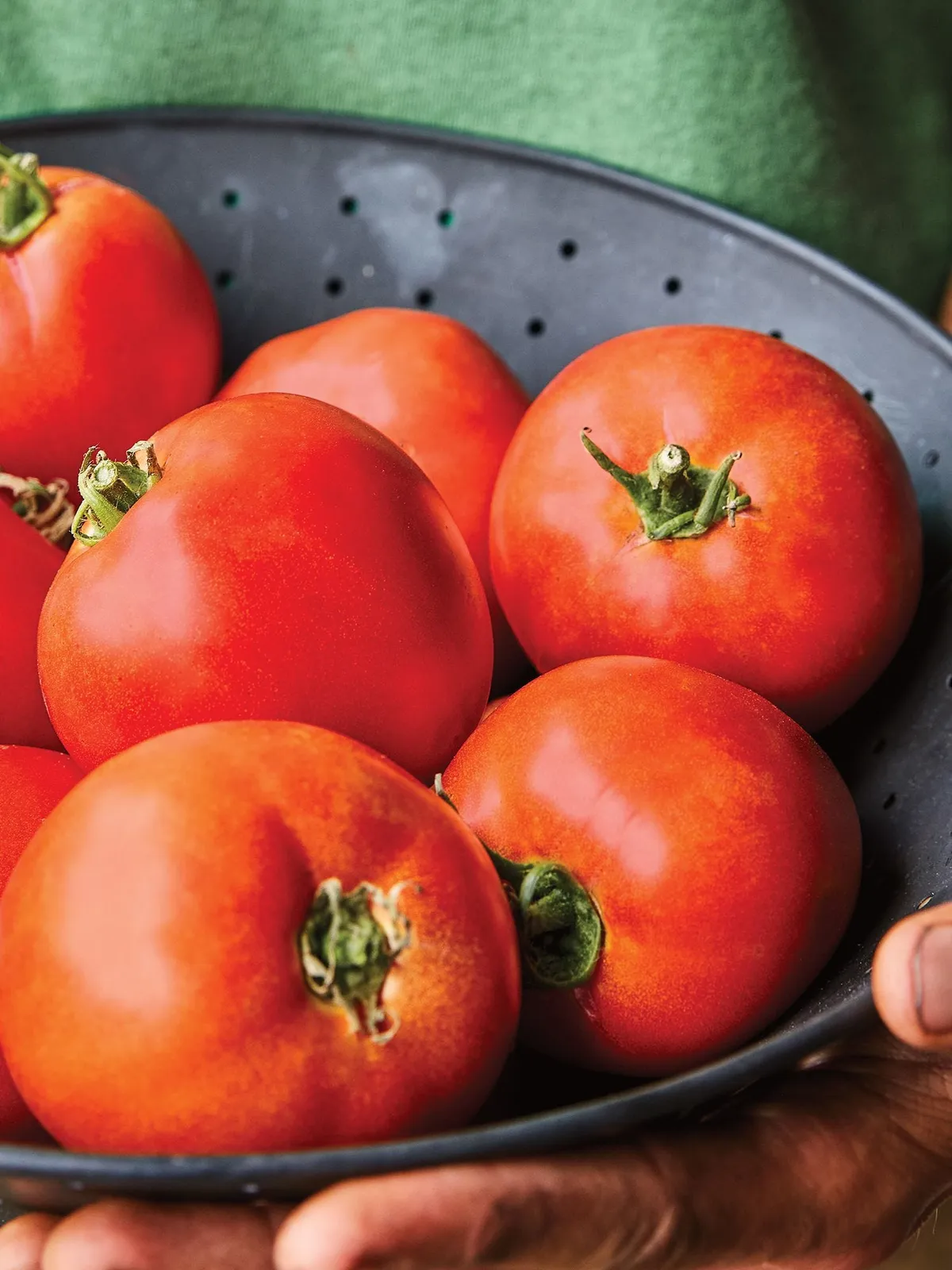 Big Beef Hybrid Tomatoes