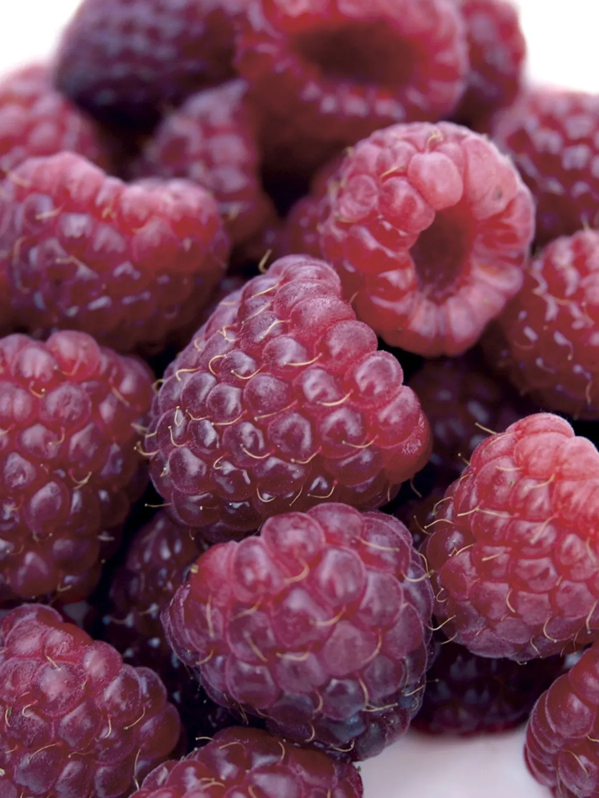 Royalty Raspberries