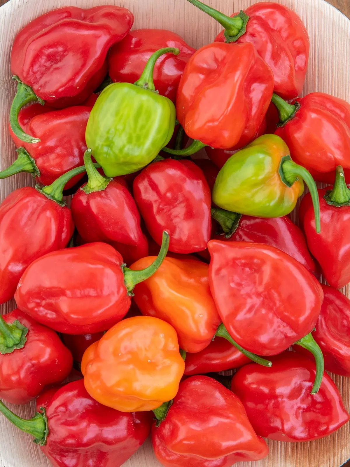 Hot, Caribbean Red Peppers