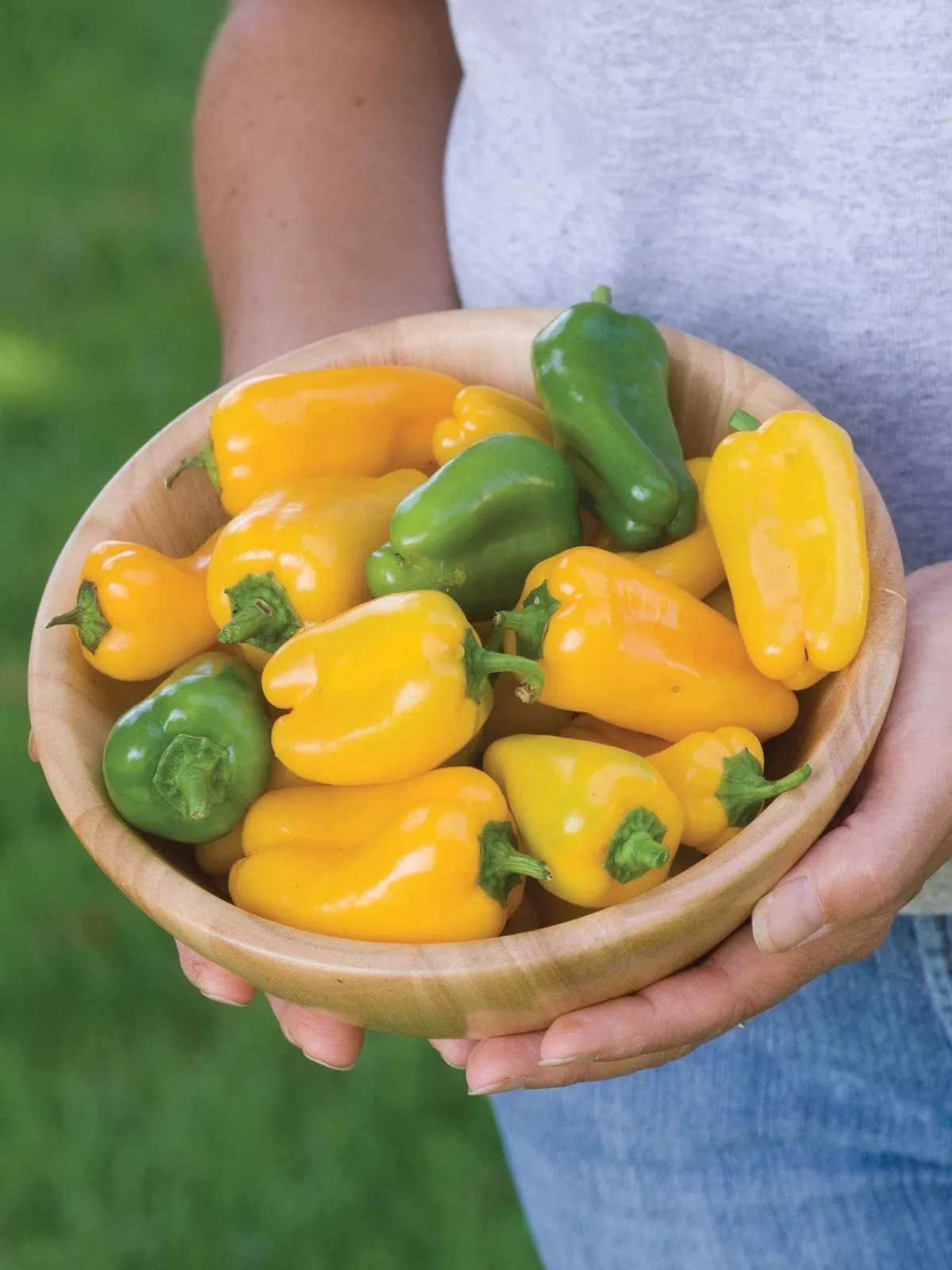 Sweet, Golden Baby Belle Hybrid Peppers