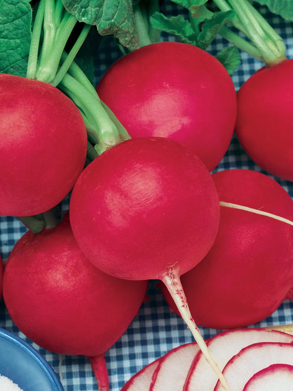 German Giant Radishes