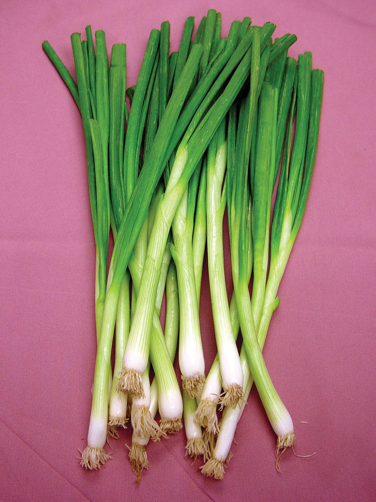White Lisbon Onions