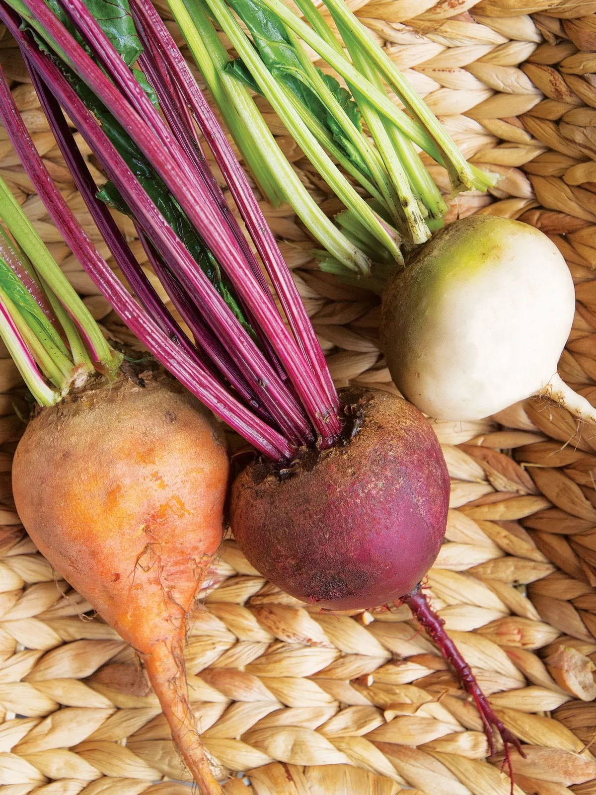 Three Color Blend Beets