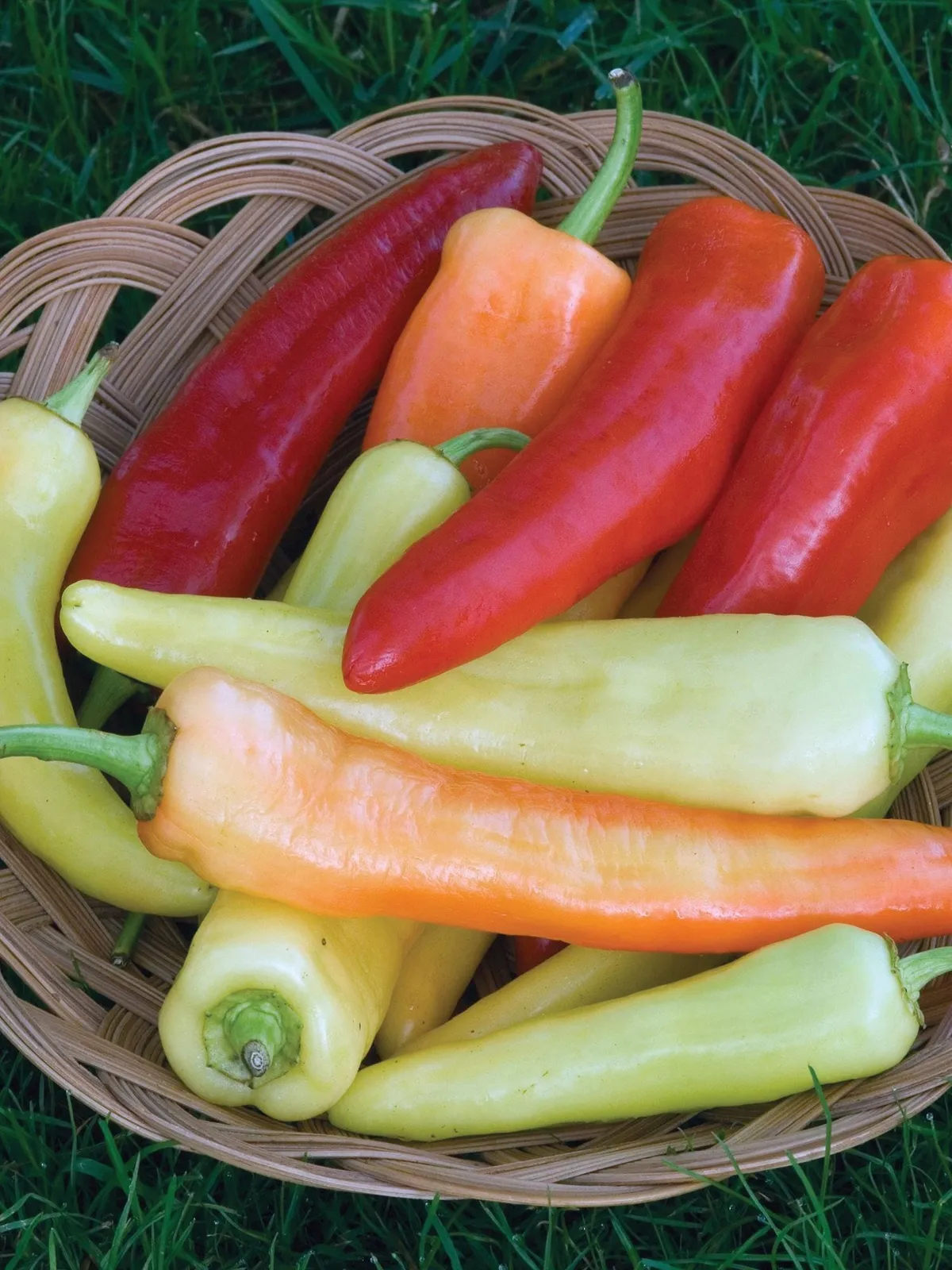 Sweet, Banana Peppers