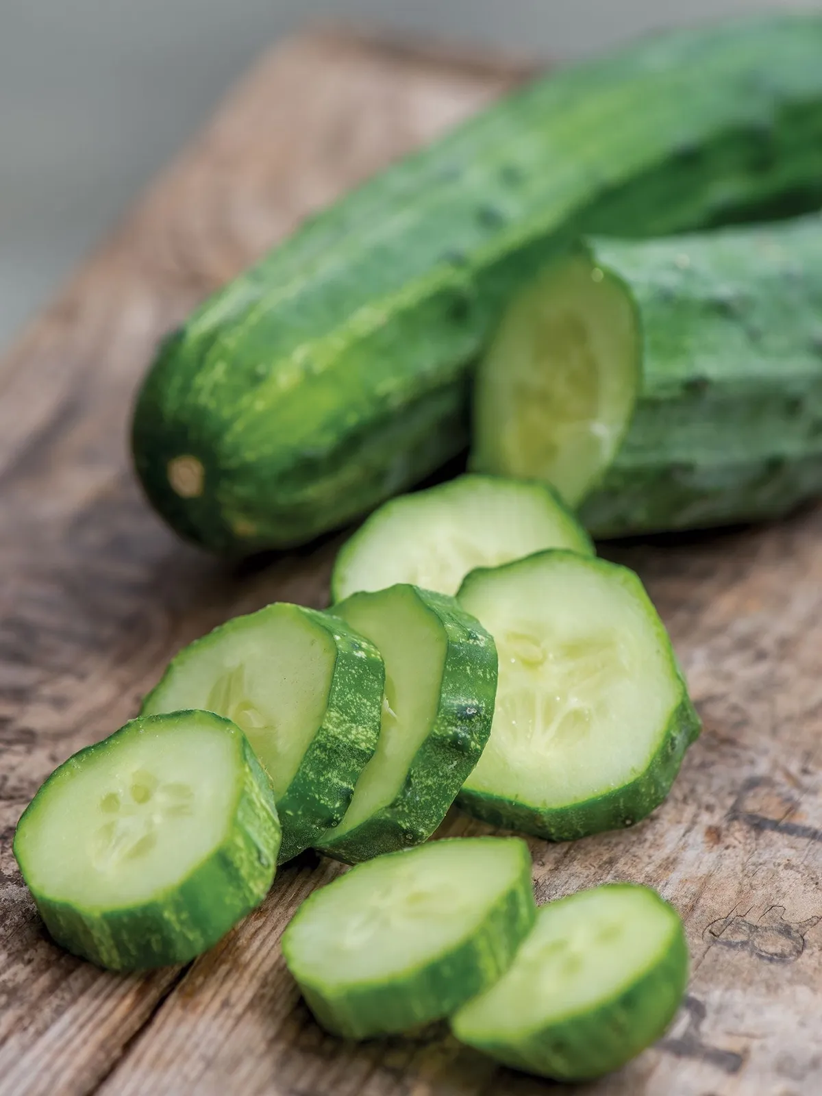 Bush Champion Cucumbers