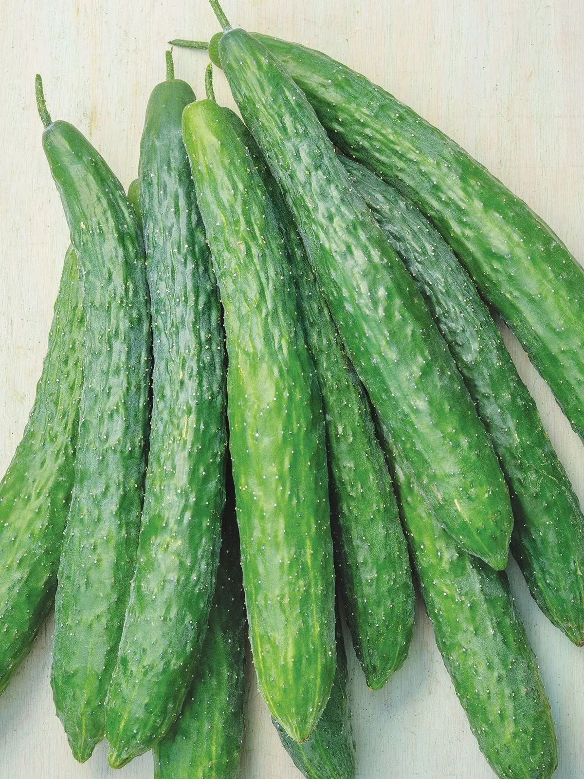 Dragon Suhyo Hybrid Cucumbers