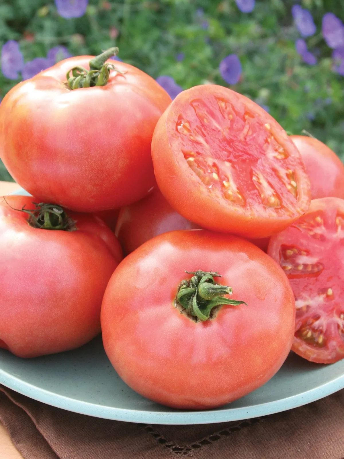 Pink Pounder Hybrid Tomatoes