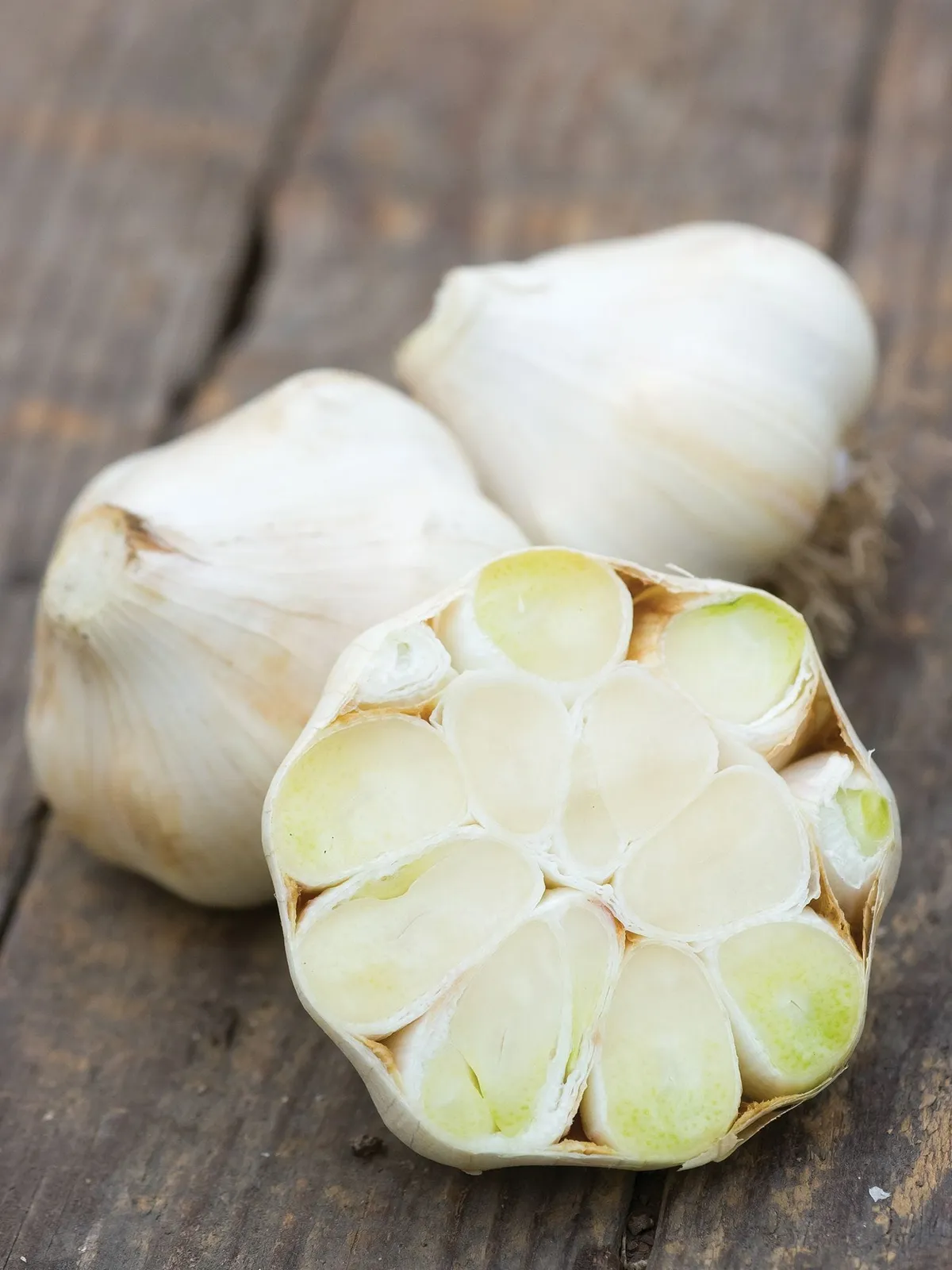Extra Select Garlic