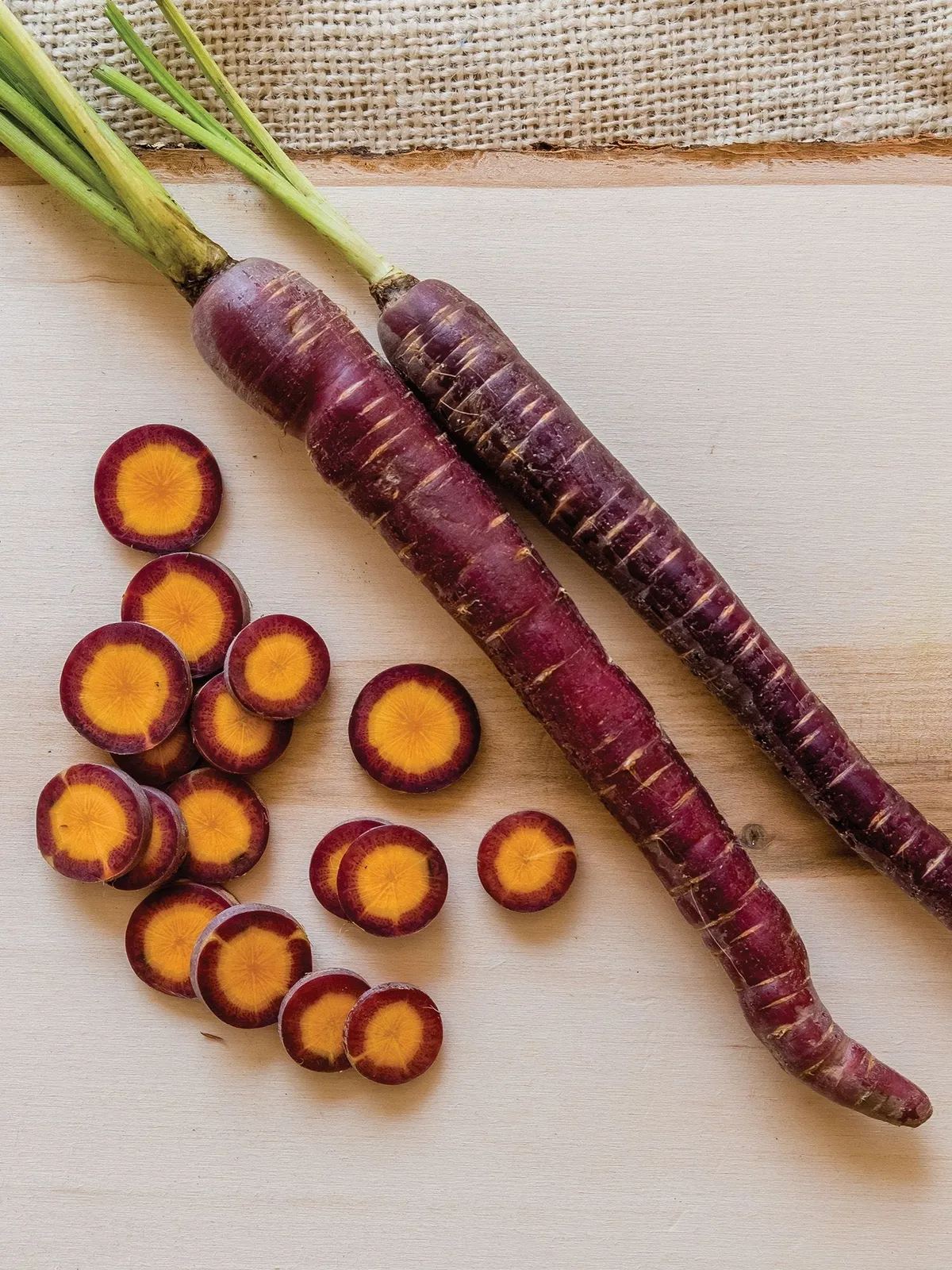 Purplesnax Hybrid Carrots