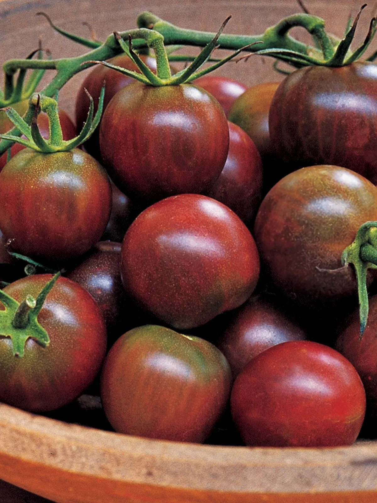Black Pearl Hybrid Tomatoes