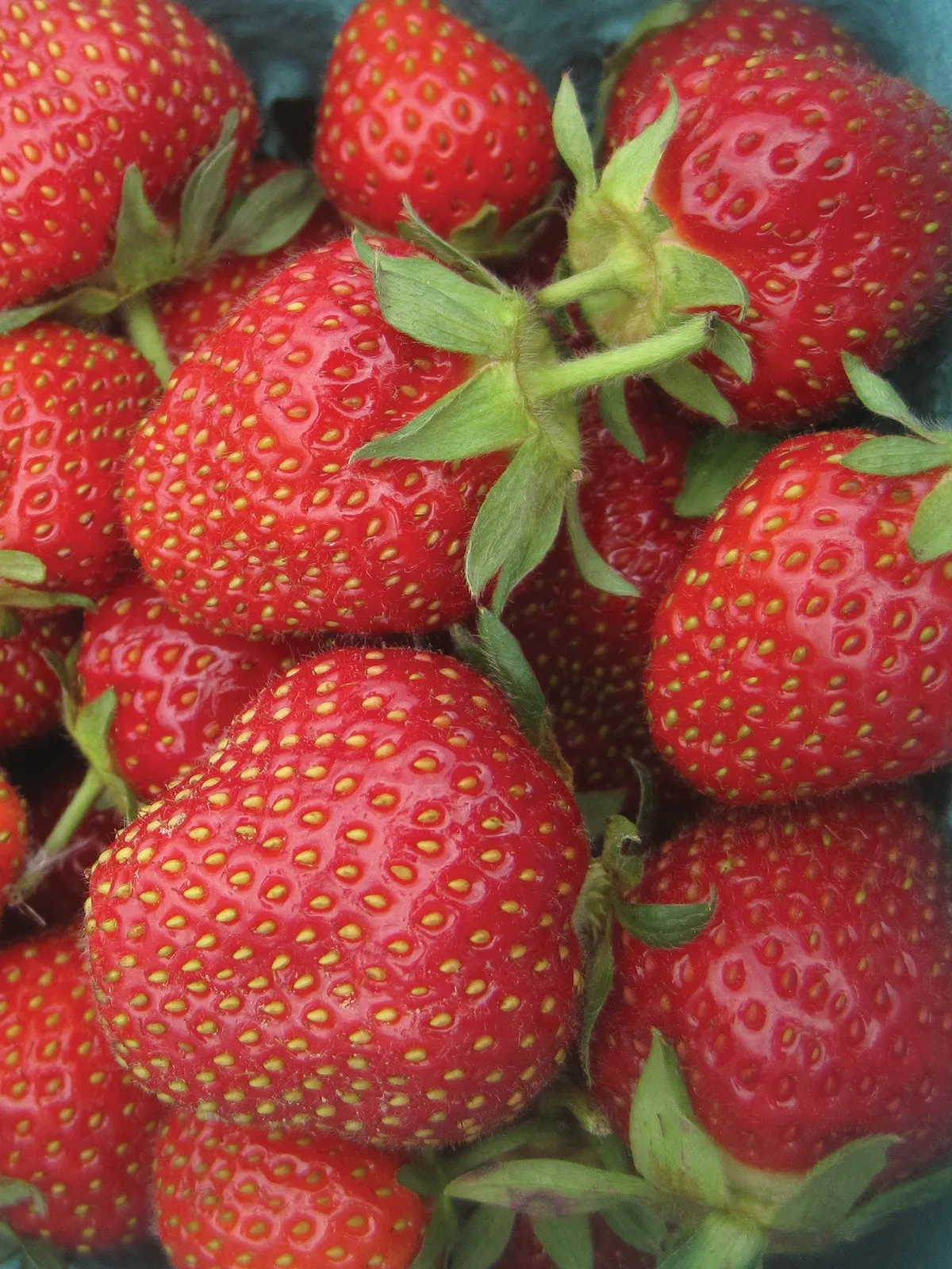 Jewel Strawberries