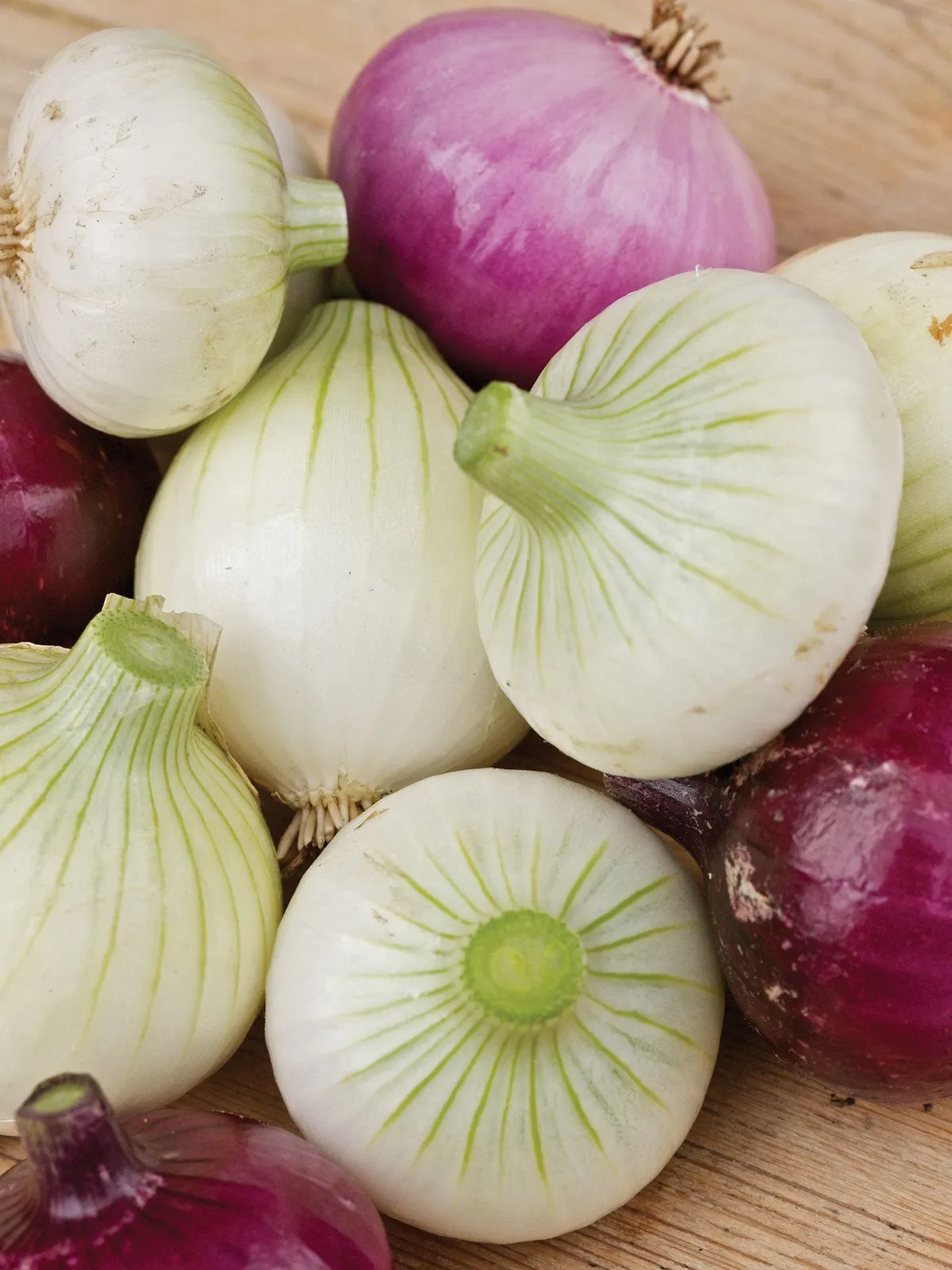Short Day Collection Onions