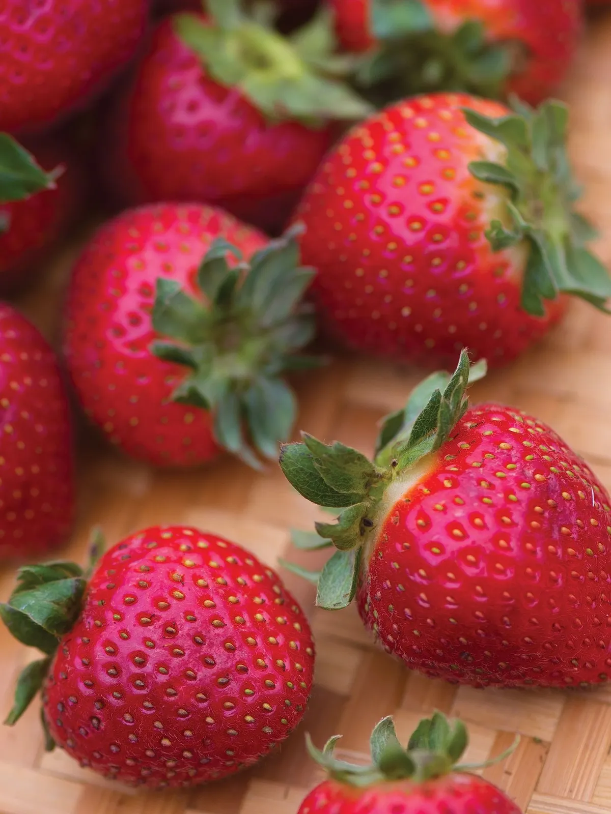 Evie-2 Strawberries