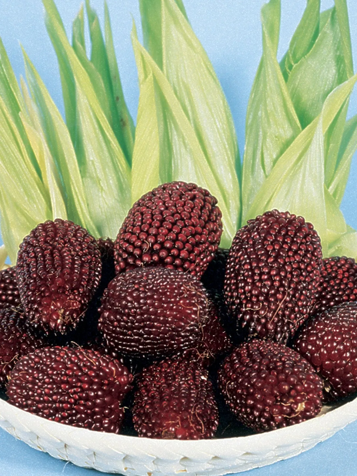 Strawberry Corn