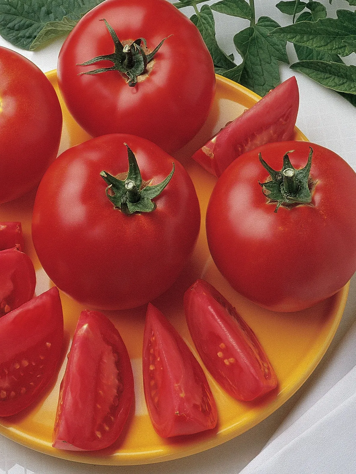 Bush Early Girl Hybrid Tomatoes