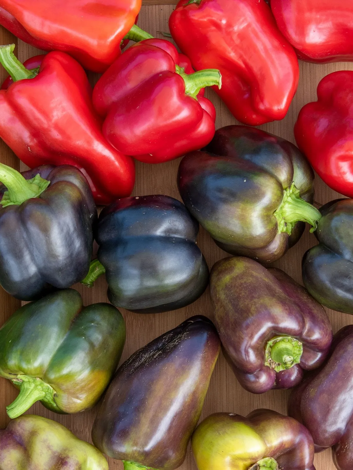 Sweet, Pinot Noir Hybrid Peppers
