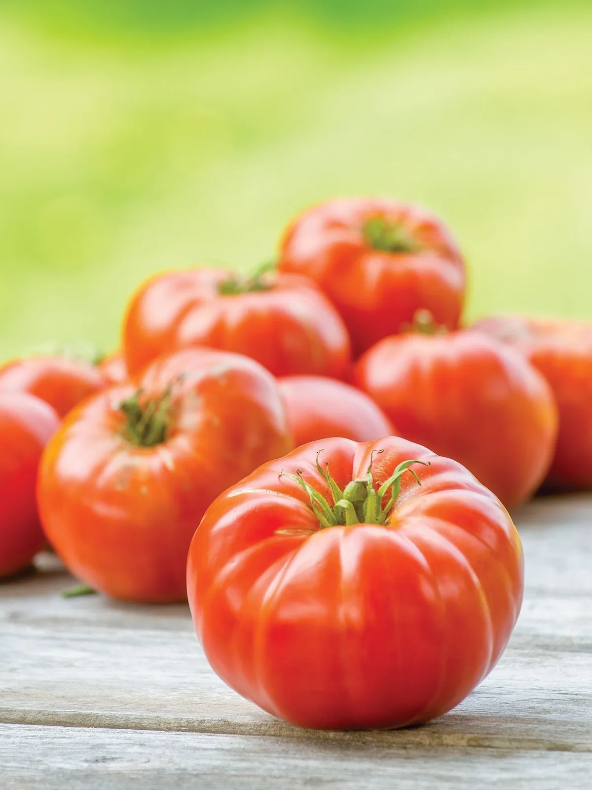 Mortgage Lifter Tomatoes