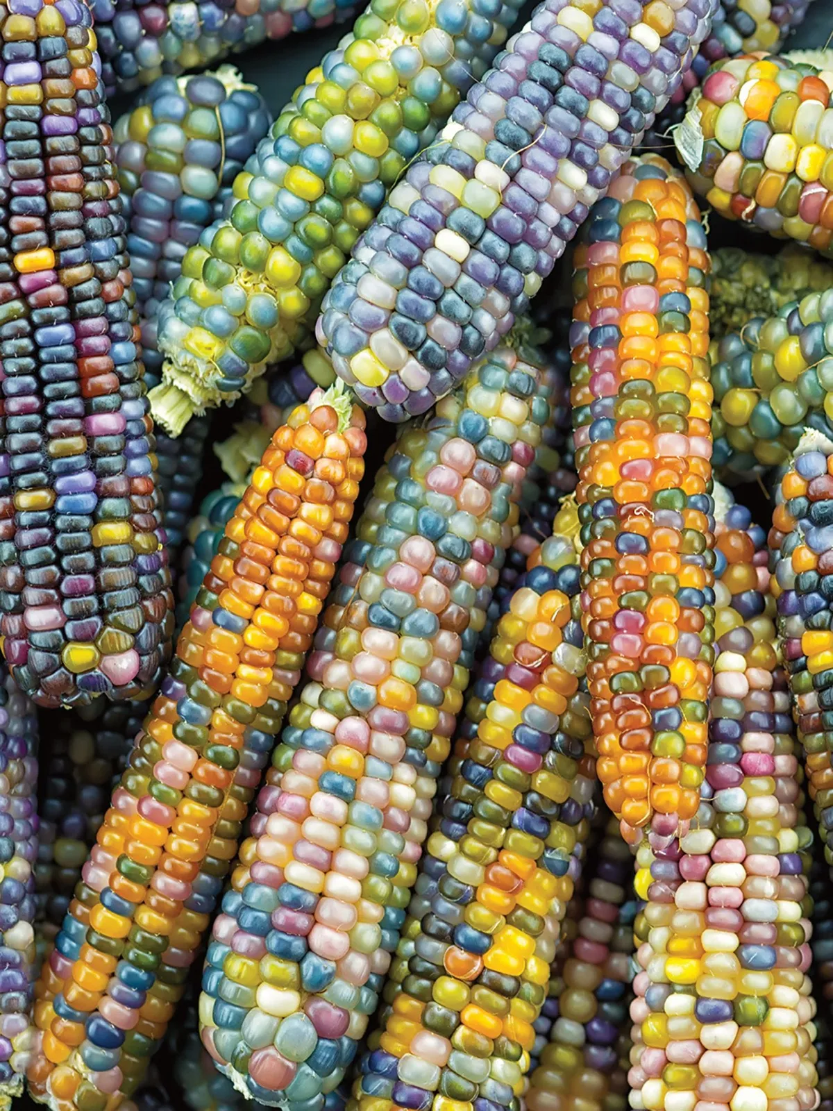 Ornamental, Glass Gem Corn