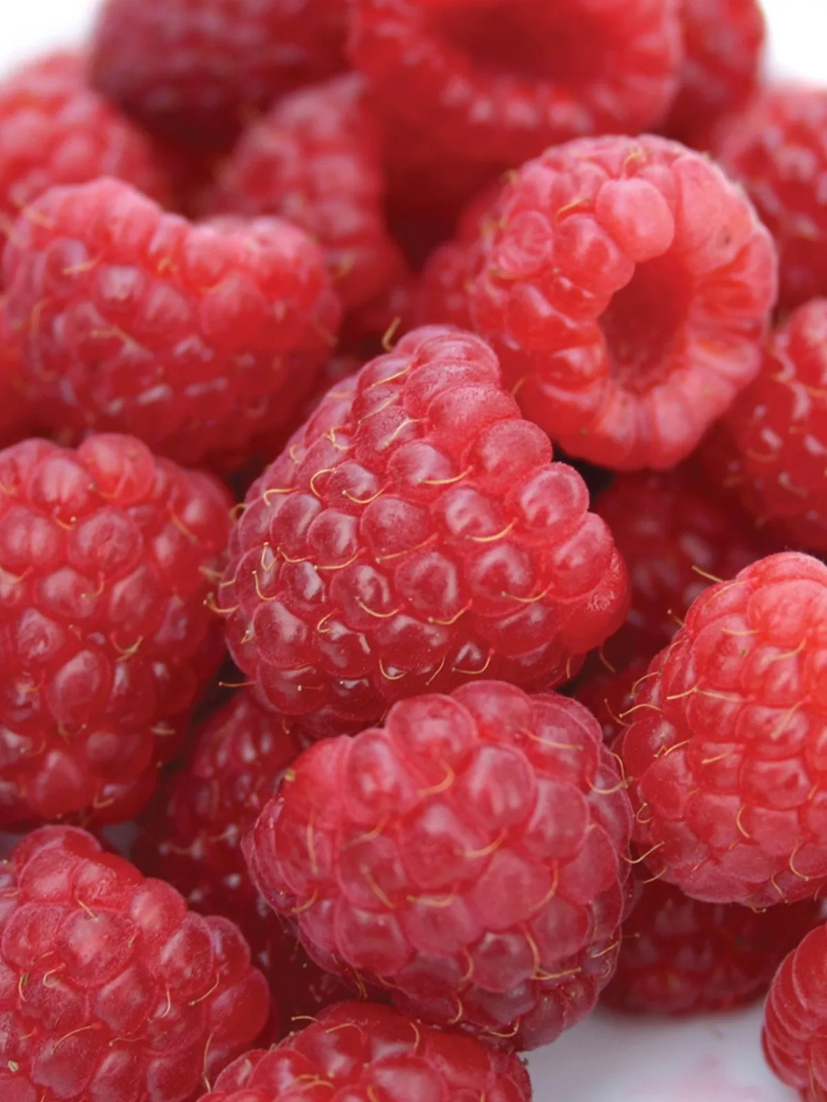 Heritage Raspberries