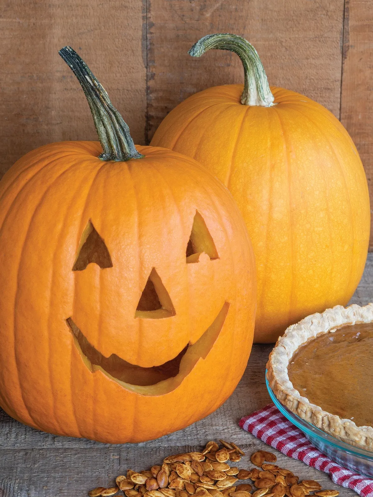 Triple Treat Pumpkin