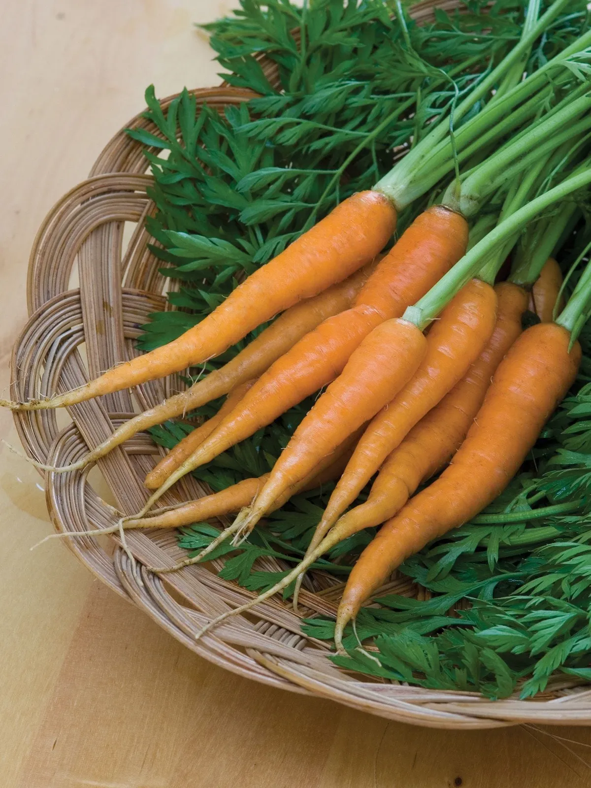 Little Finger Carrots